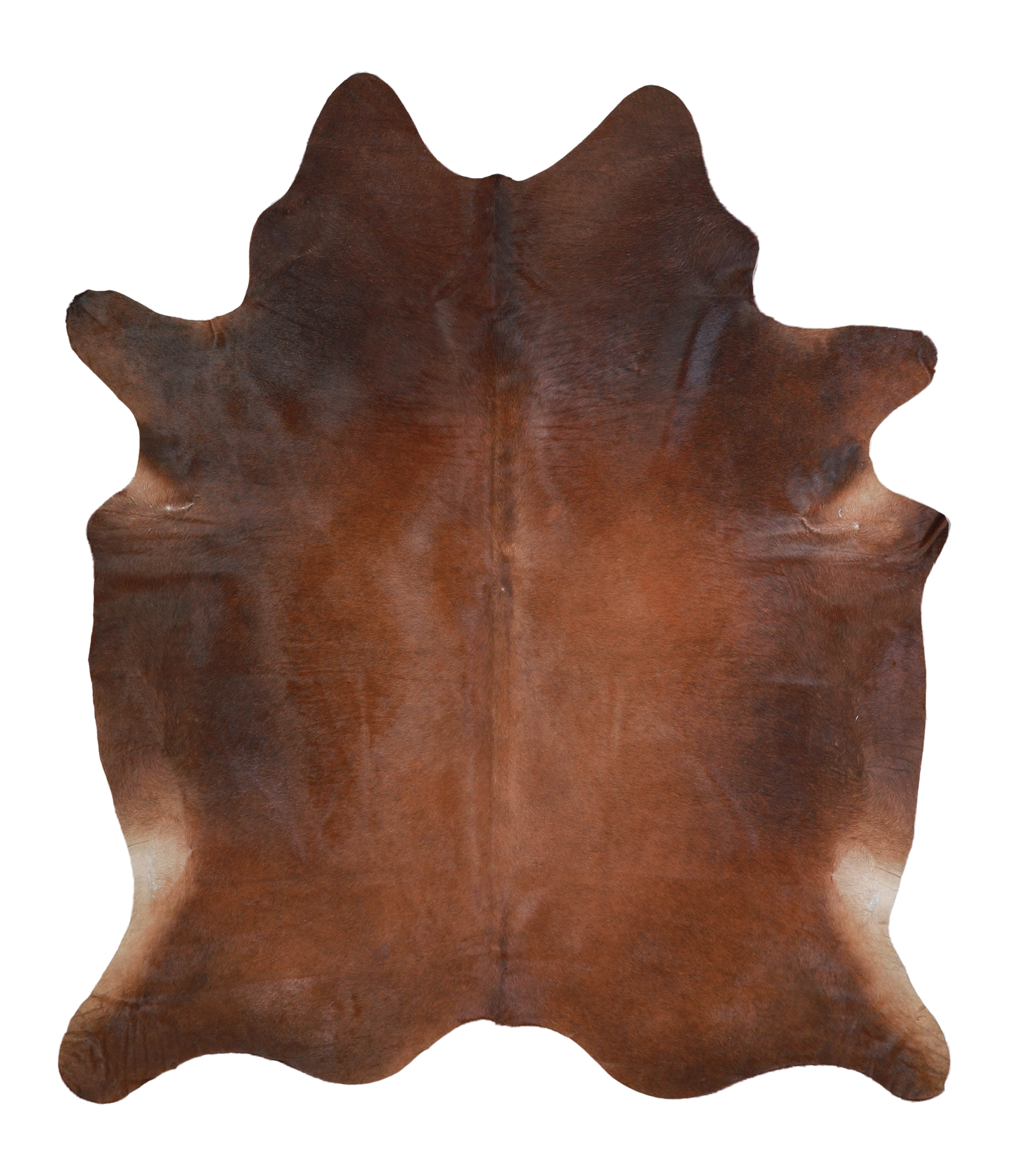 Brown with Red Cowhide Rug #A21731