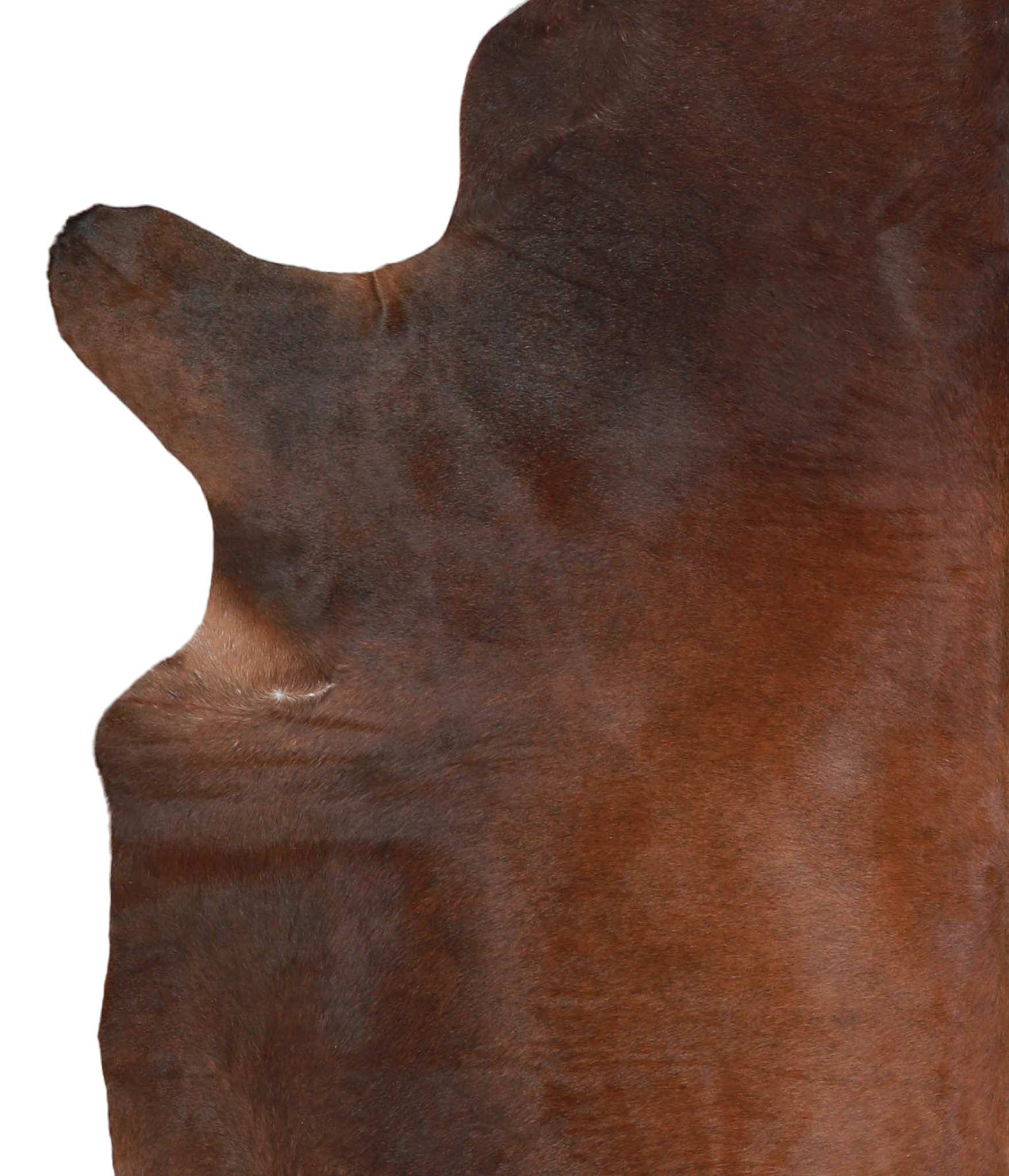 Brown with Red Cowhide Rug #A21731