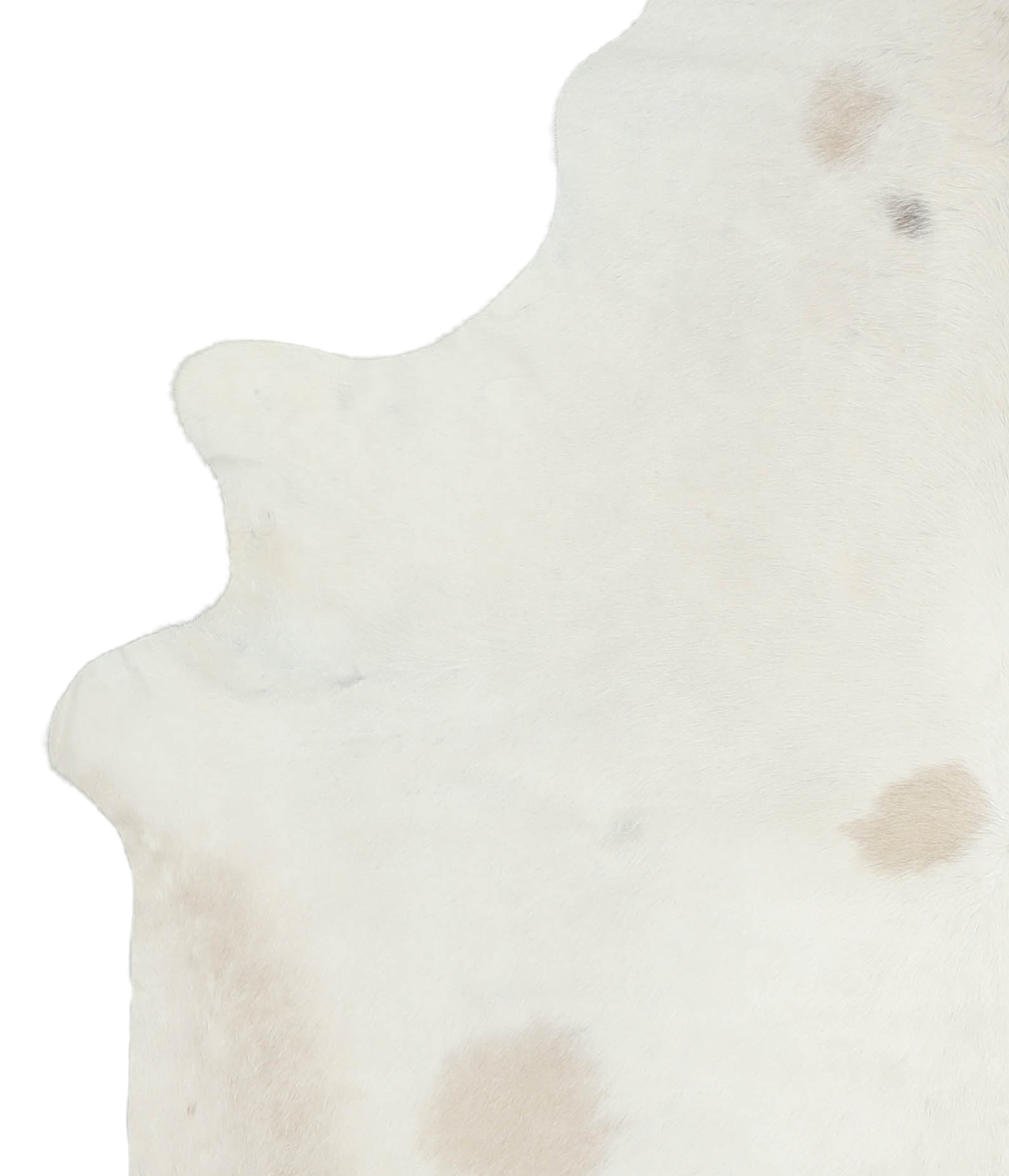 Ivory with Beige Cowhide Rug #A21739