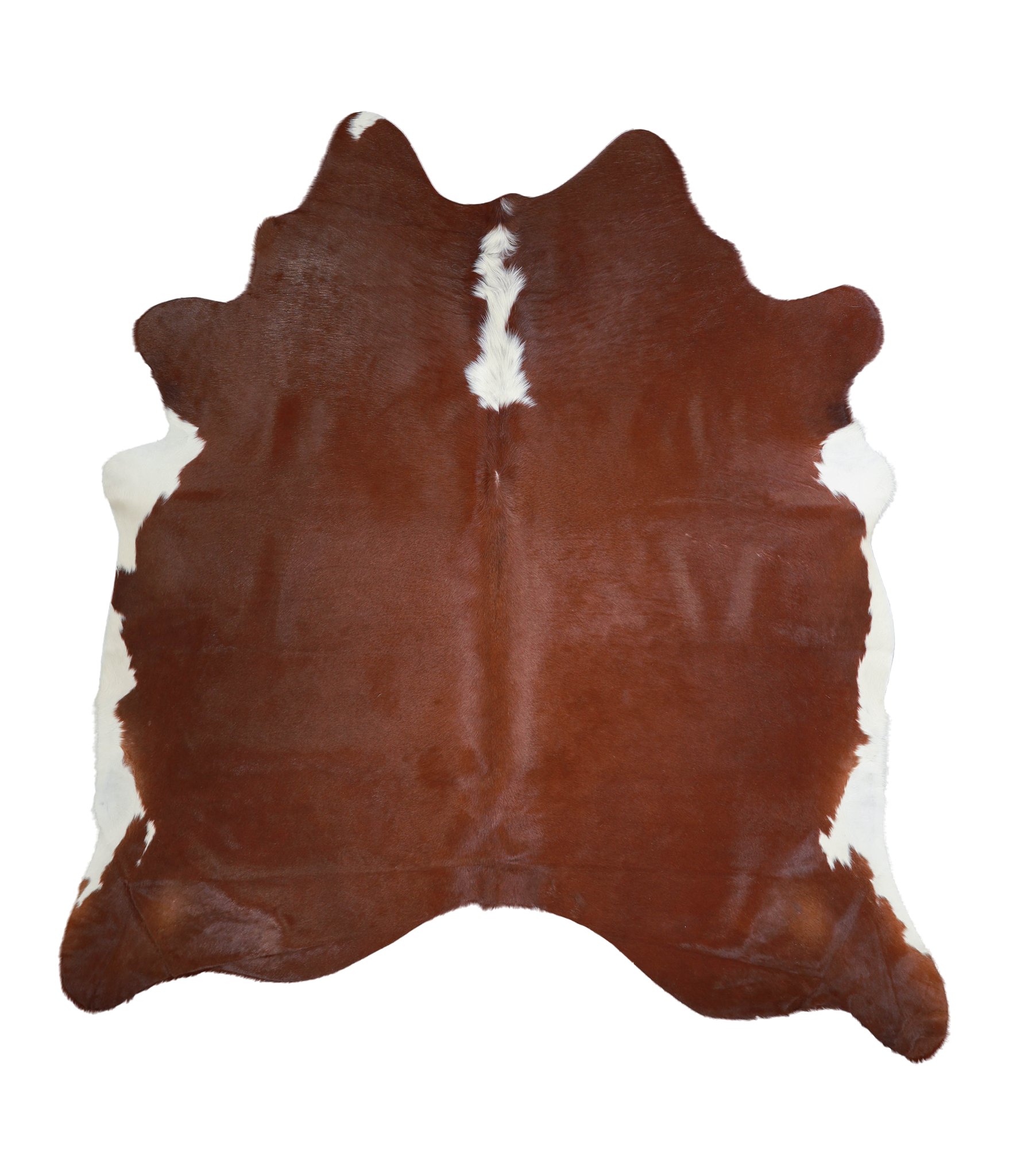 Brown and White Regular Cowhide Rug #A21803