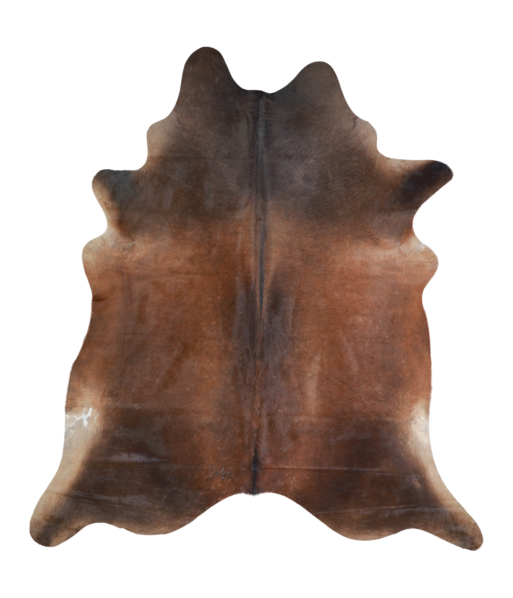 Brown with Red Cowhide Rug #A21828