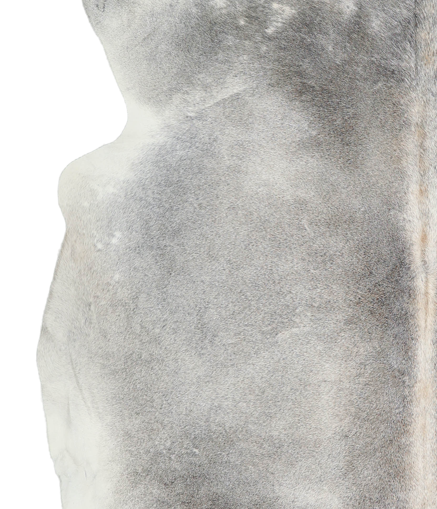 Medium Grey Cowhide Rug #A21863