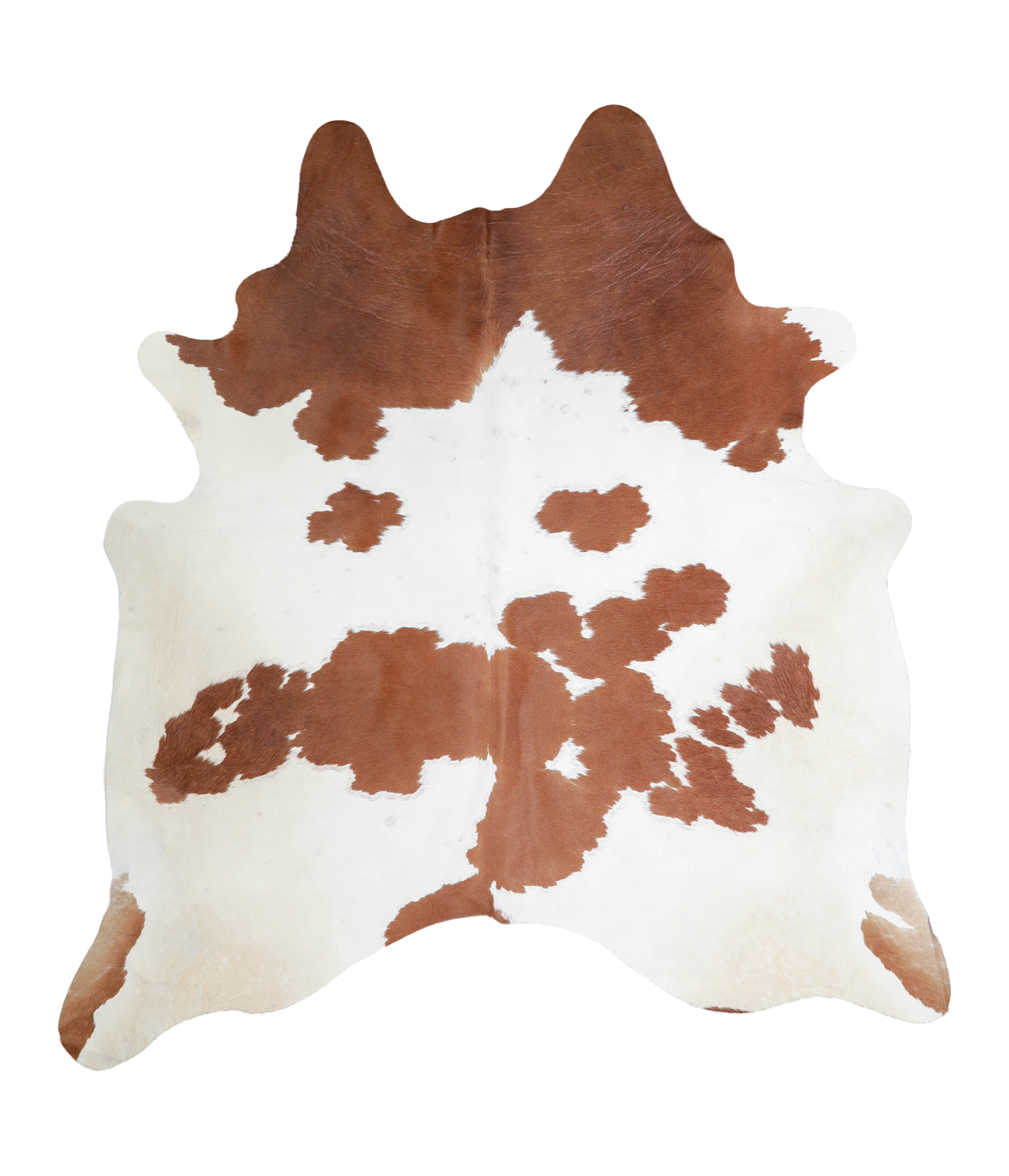 Brown and White Cowhide Rug #A21889