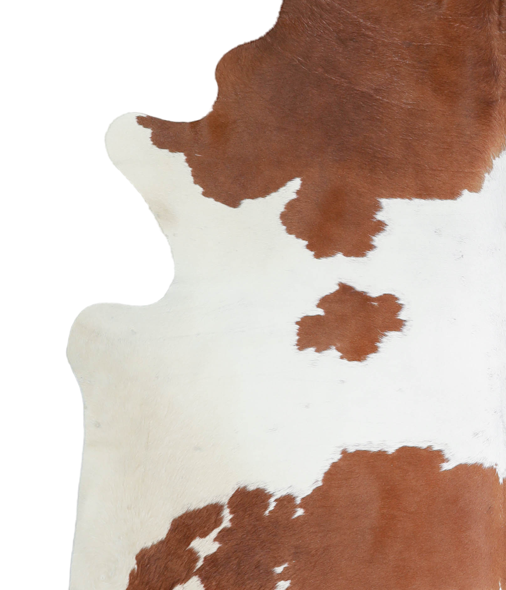 Brown and White Cowhide Rug #A21889