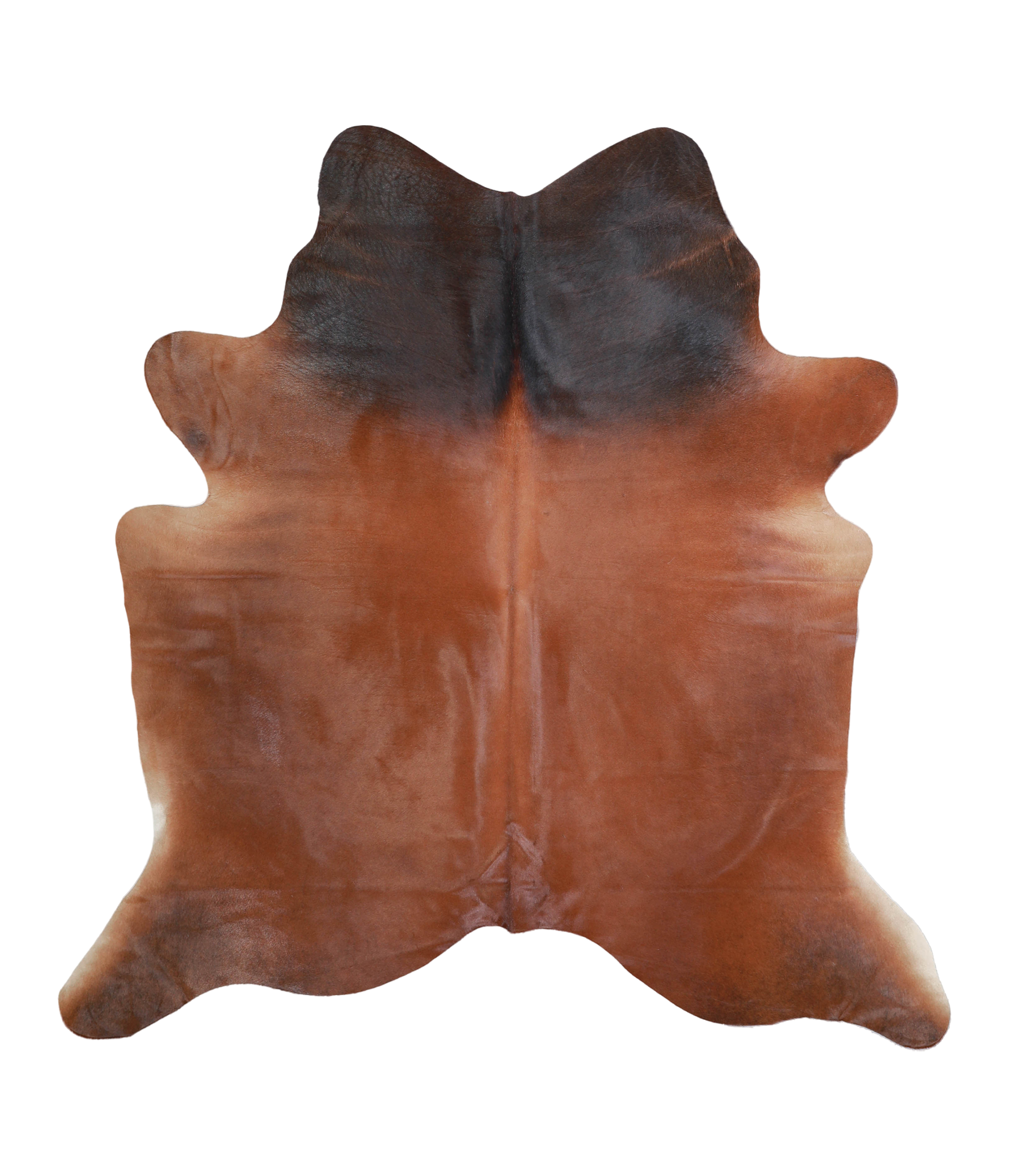 Brown with Red Cowhide Rug #A21904