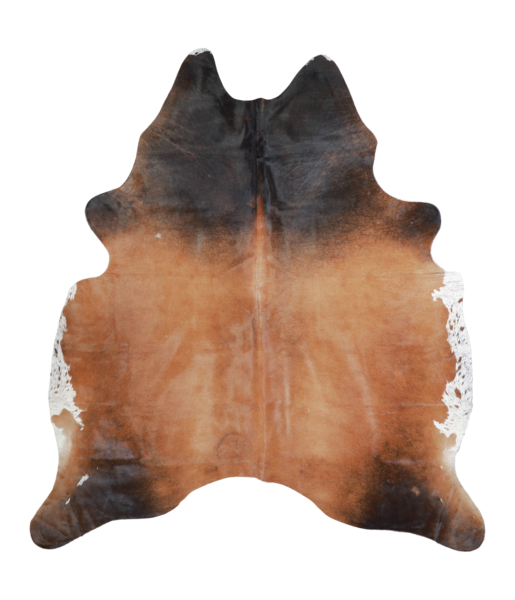 Brown with Red Cowhide Rug #A21907