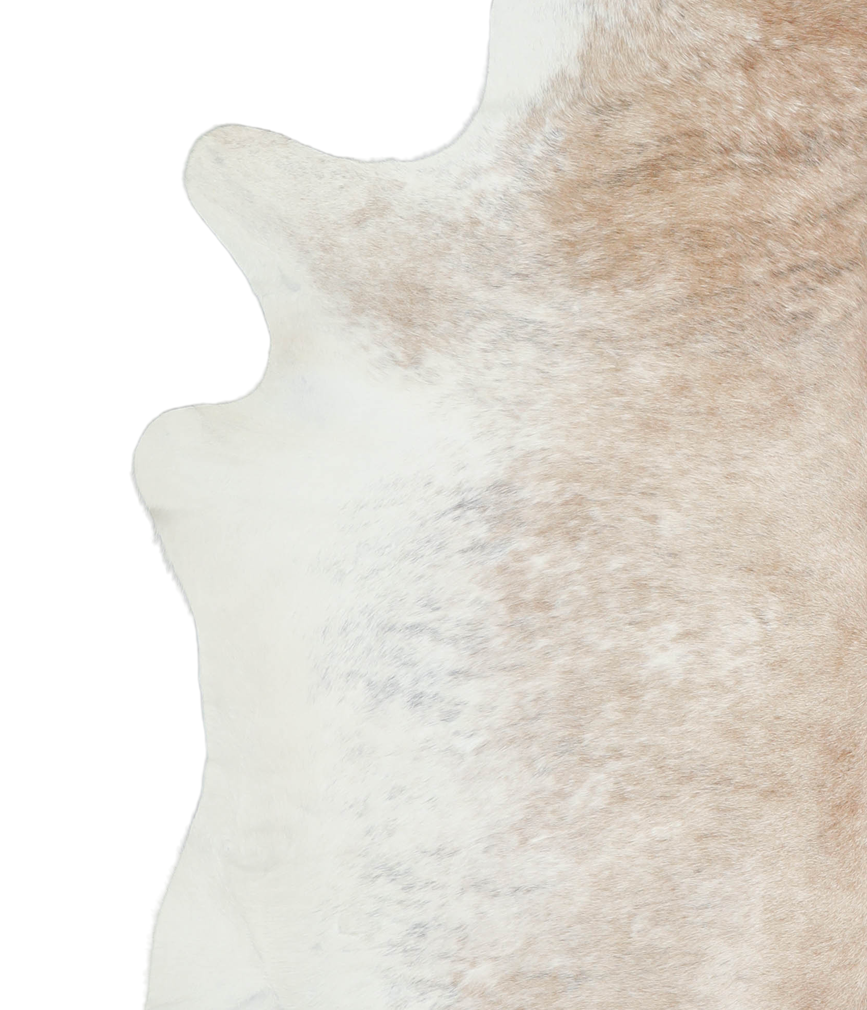 Caramel Cowhide Rug #A21926