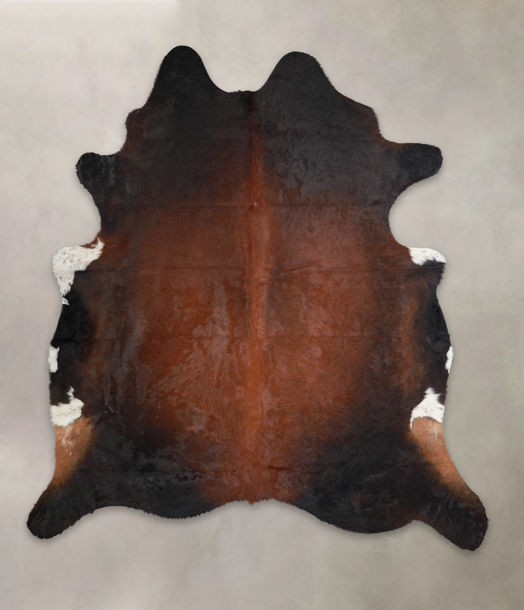 Brown with Red Cowhide Rug #A21969