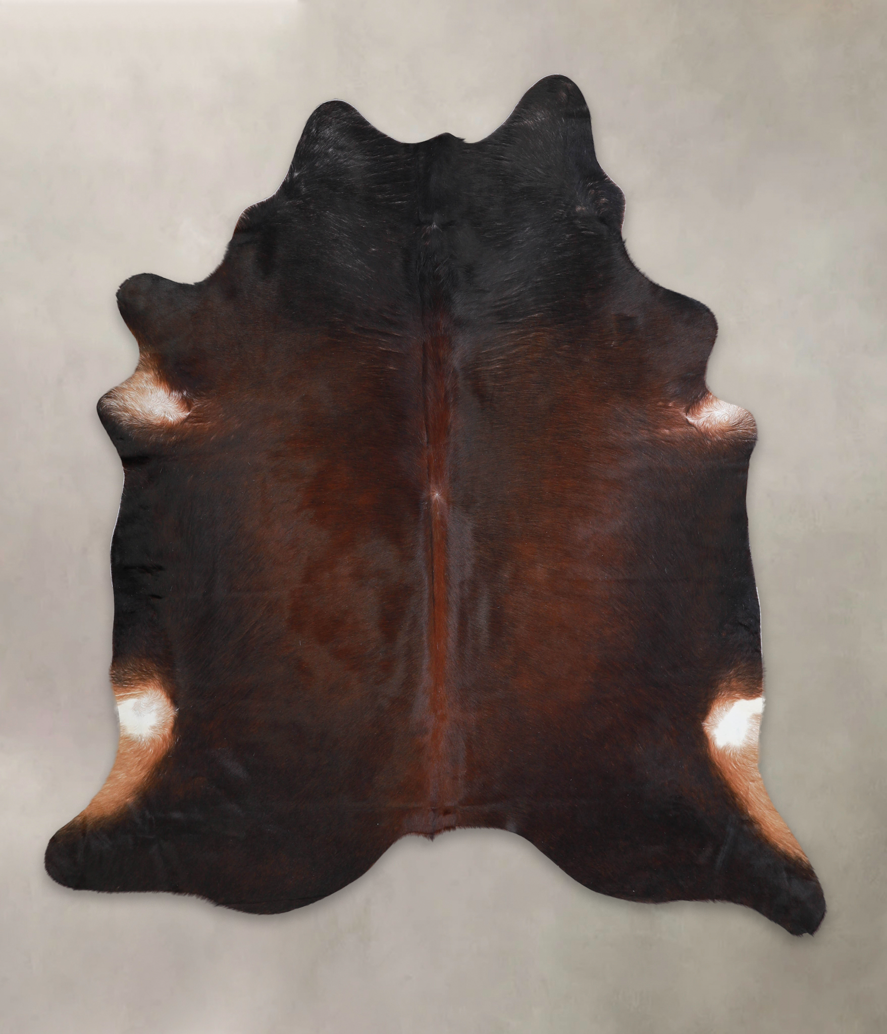 Brown with Red Cowhide Rug #A21995