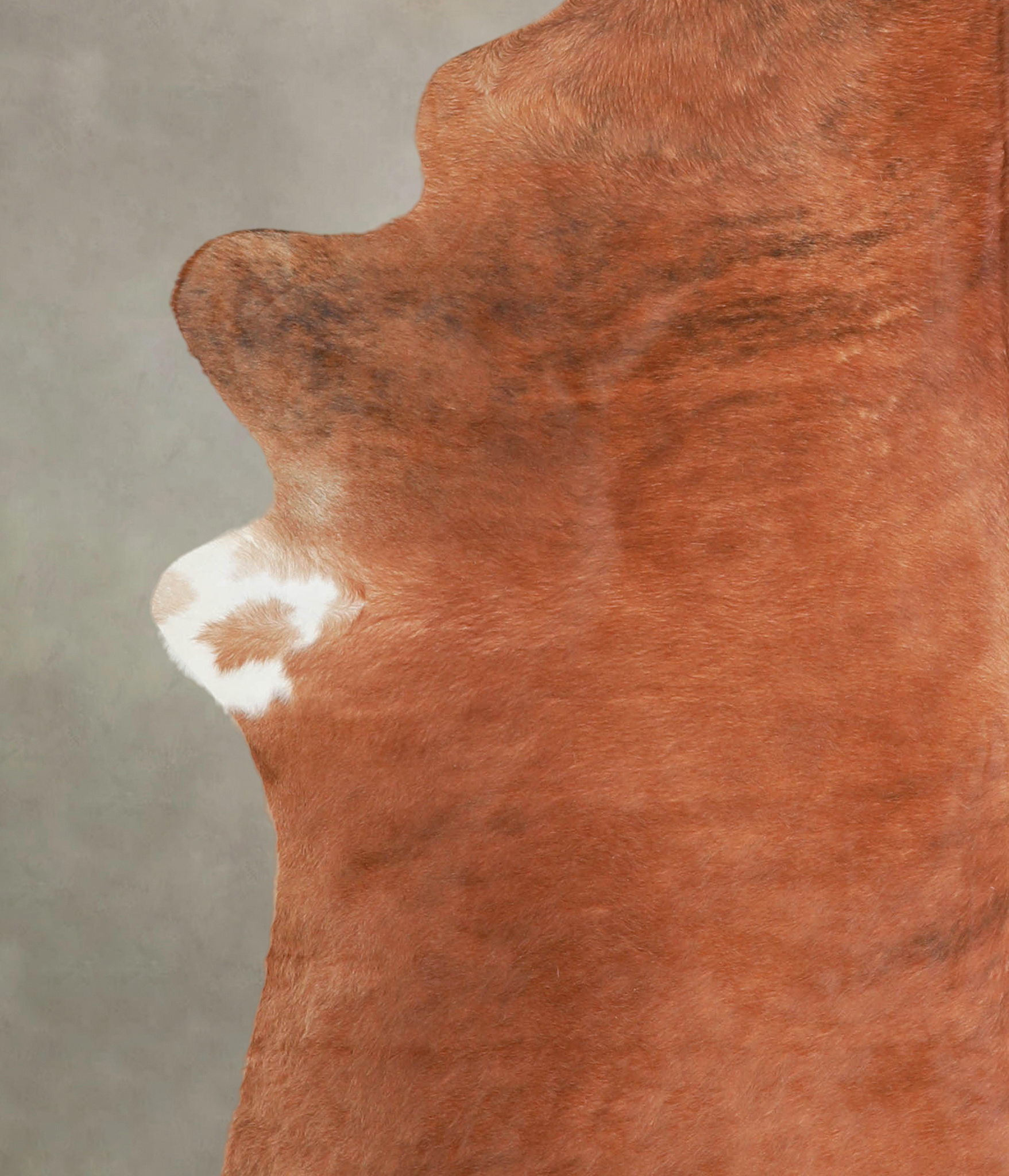 Medium Brindle Cowhide Rug #A22025