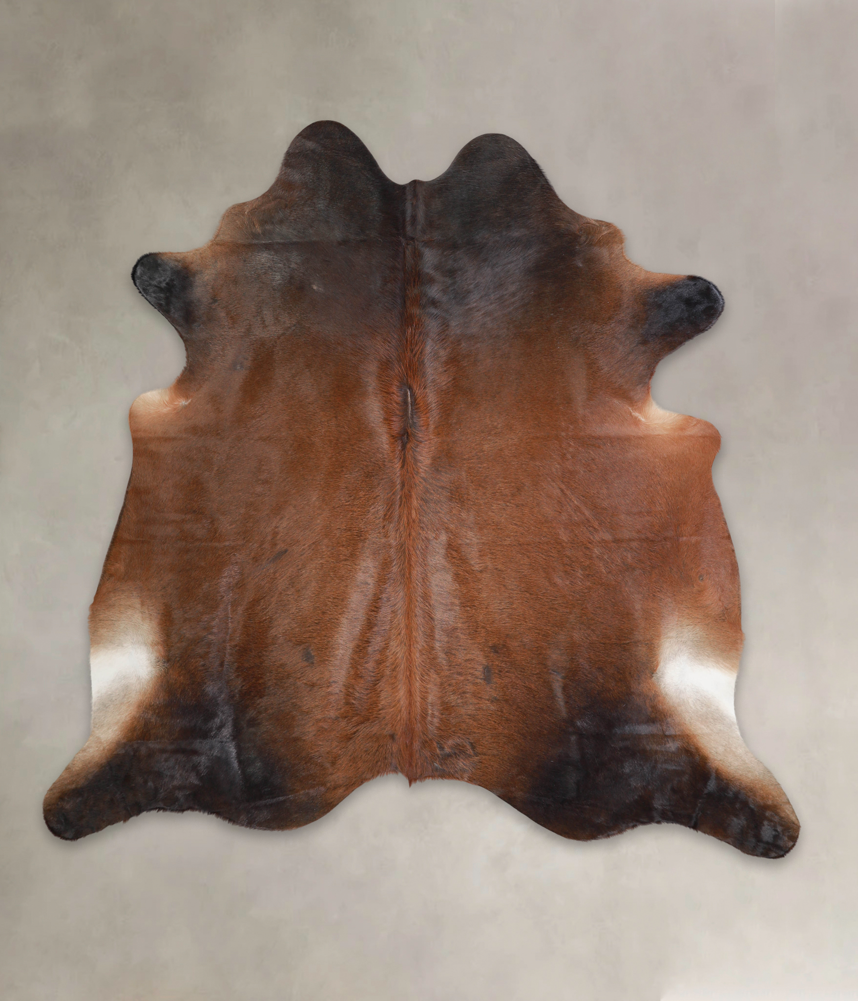 Brown with Red Cowhide Rug #A22026