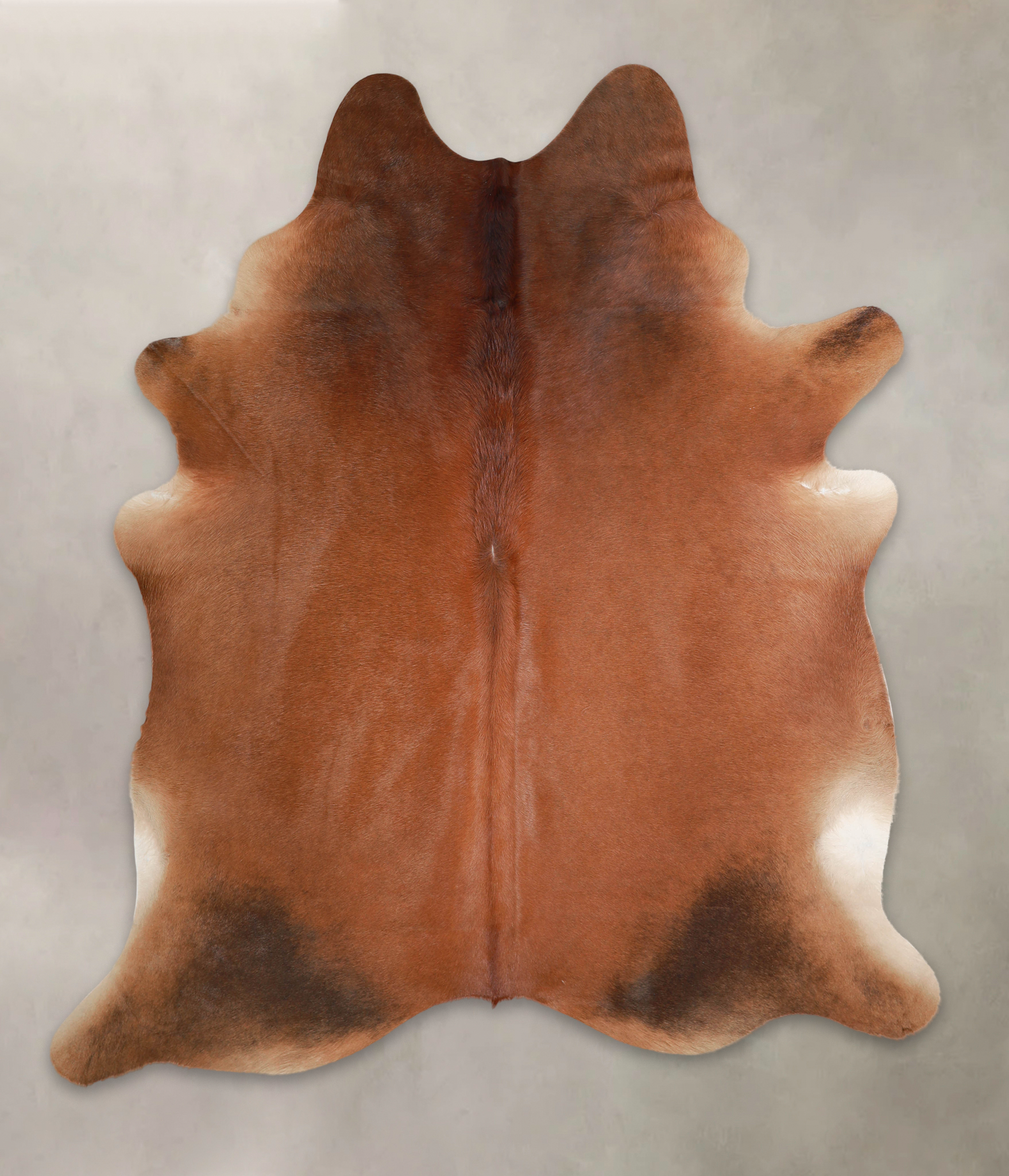 Solid Brown Cowhide Rug #A22032