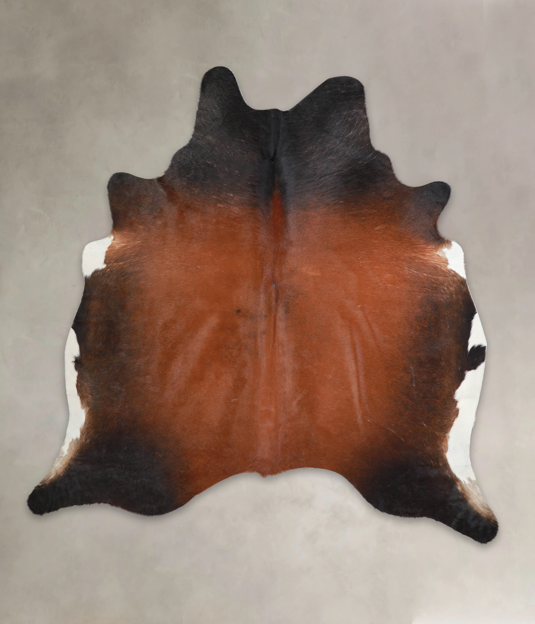 Brown with Red Cowhide Rug #A22040