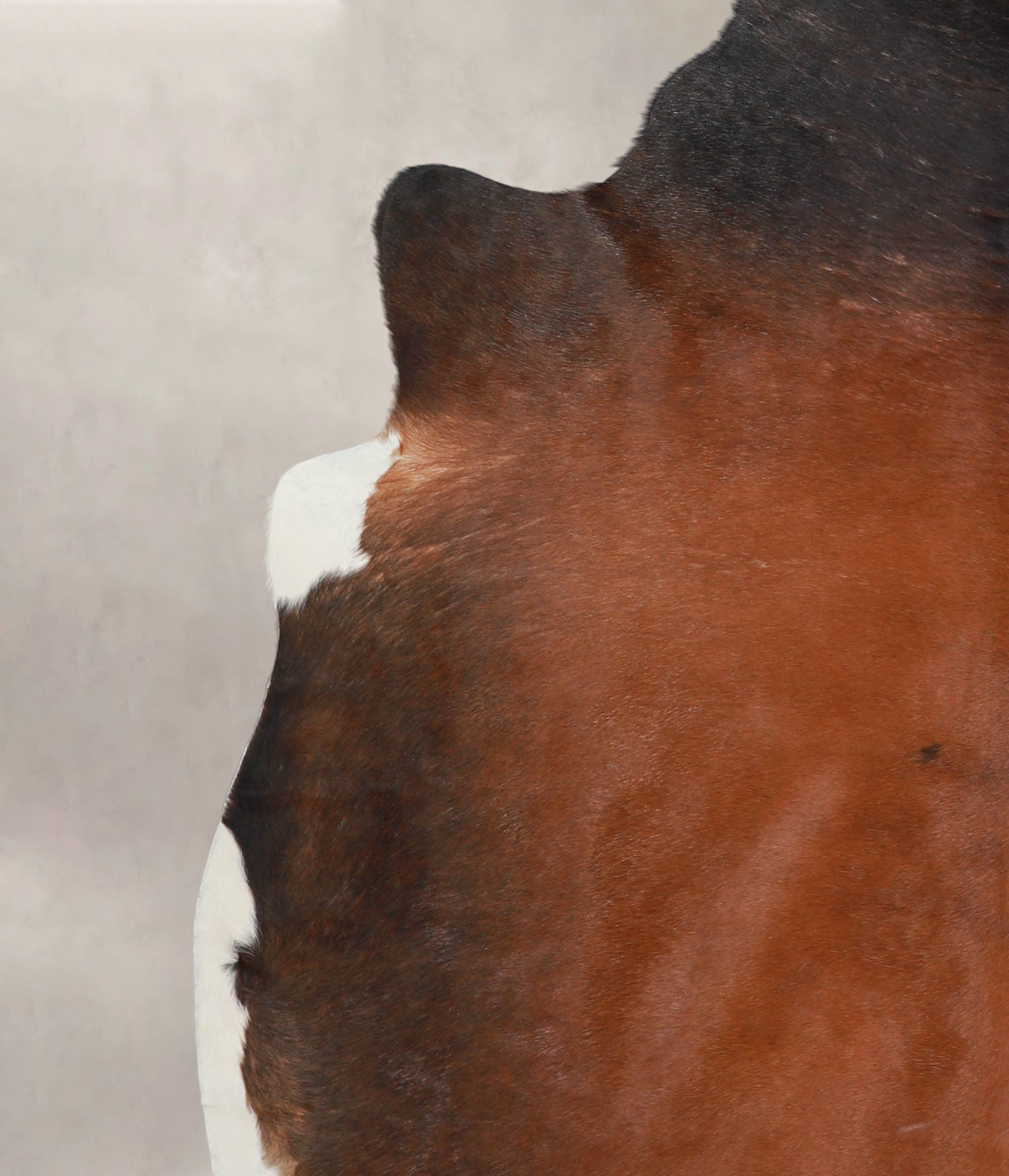 Brown with Red Cowhide Rug #A22040