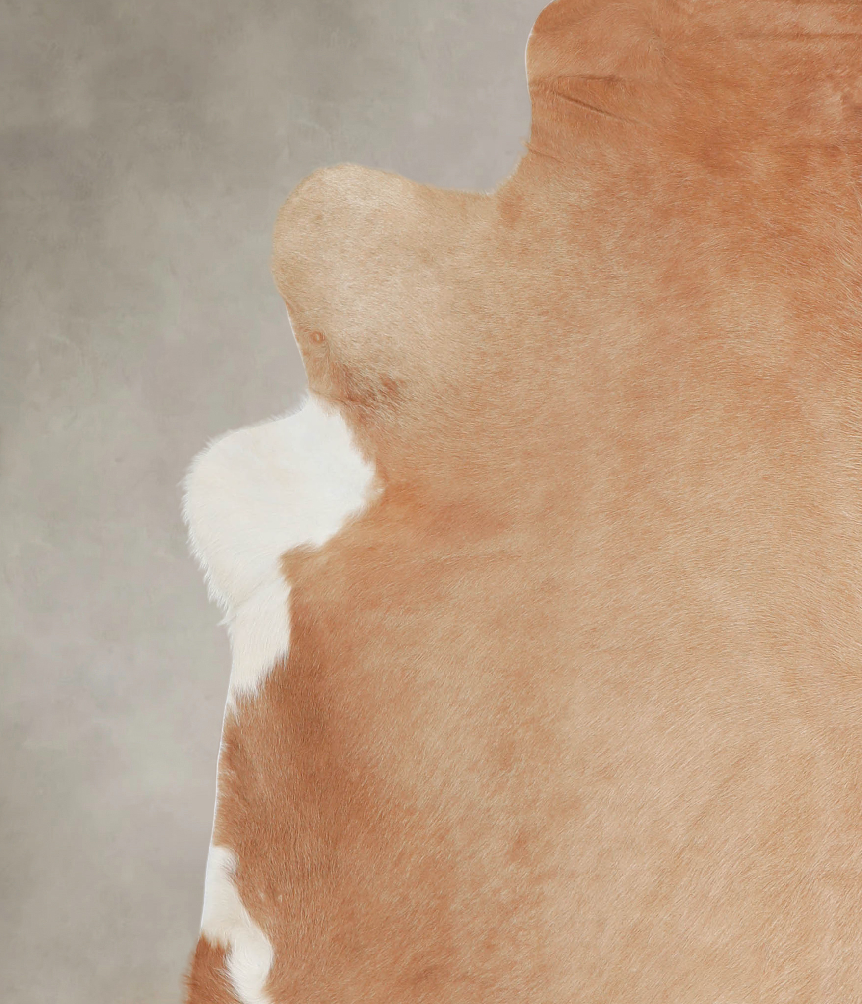 Beige Cowhide Rug #A22071