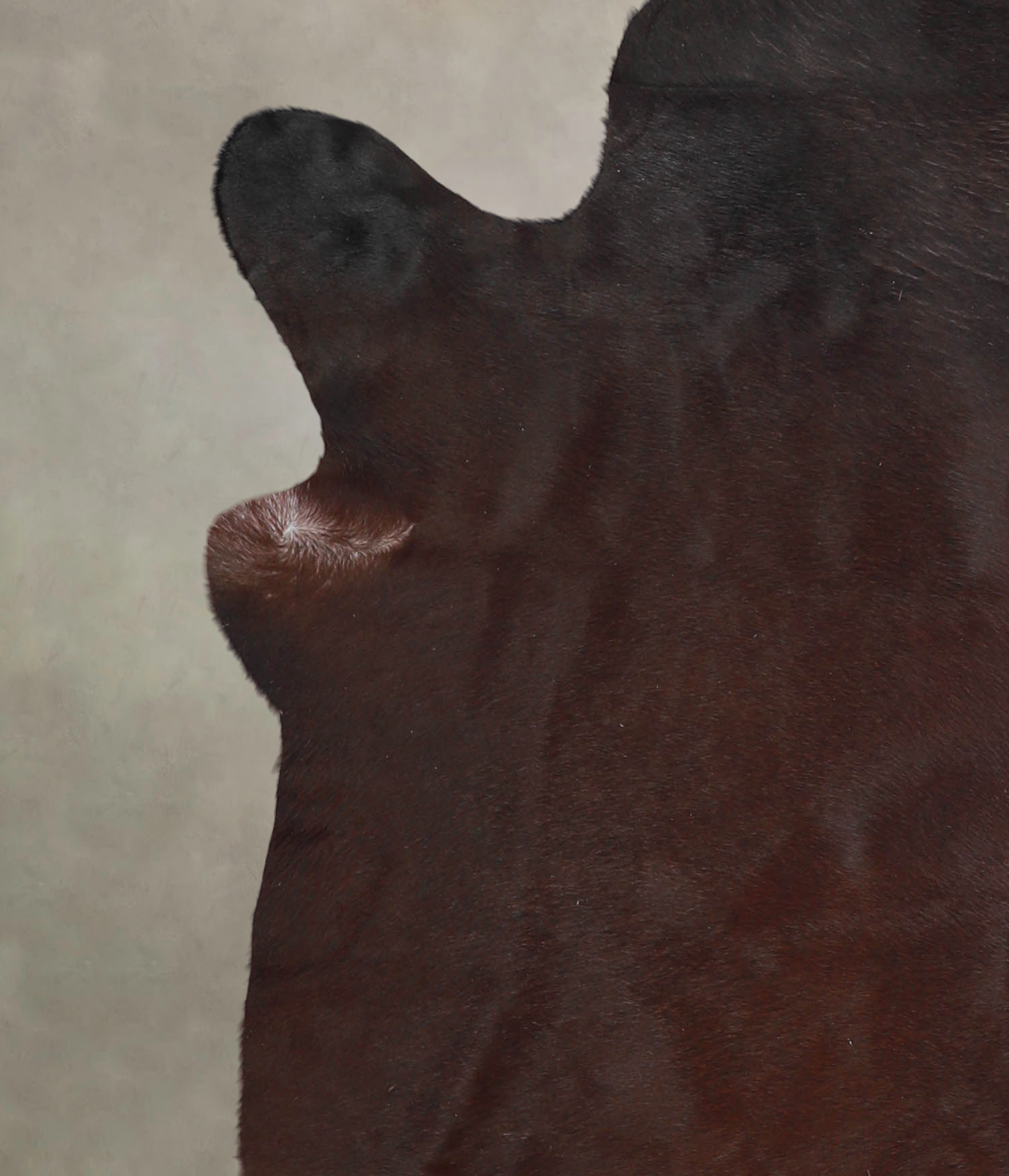 Brown with Red Cowhide Rug #A22083