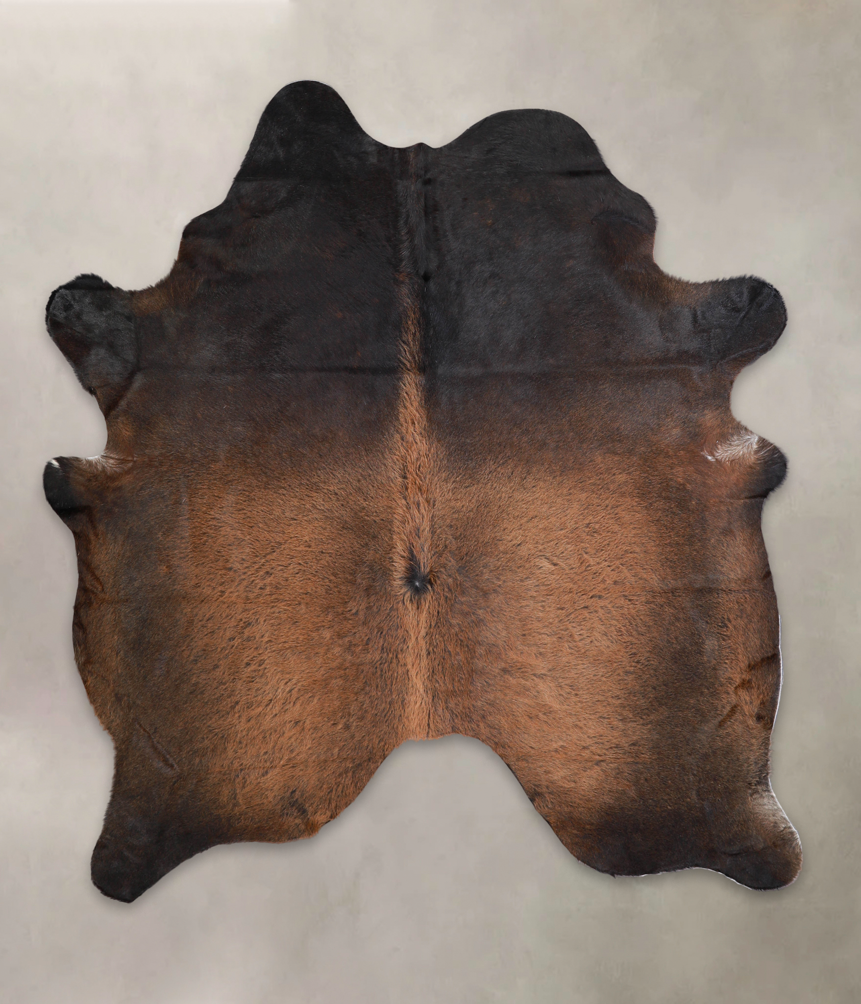 Brown with Red Cowhide Rug #A22089