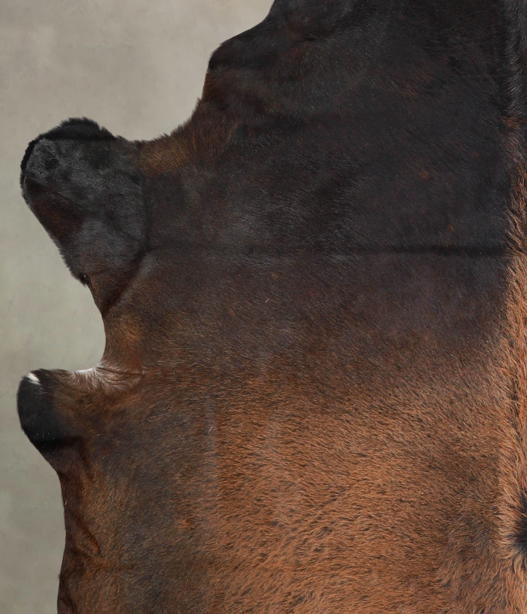 Brown with Red Cowhide Rug #A22089