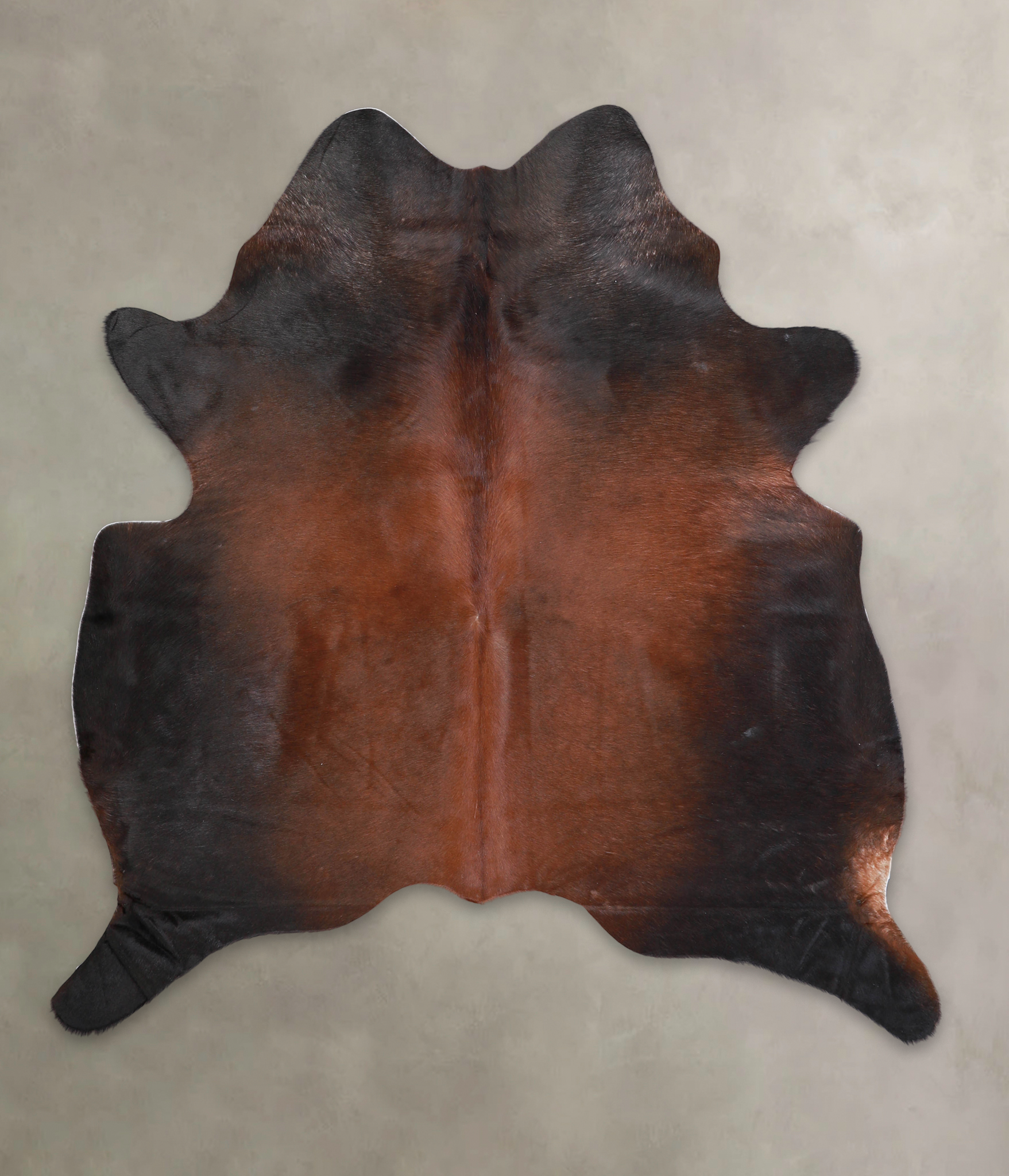 Brown with Red Cowhide Rug #A22161