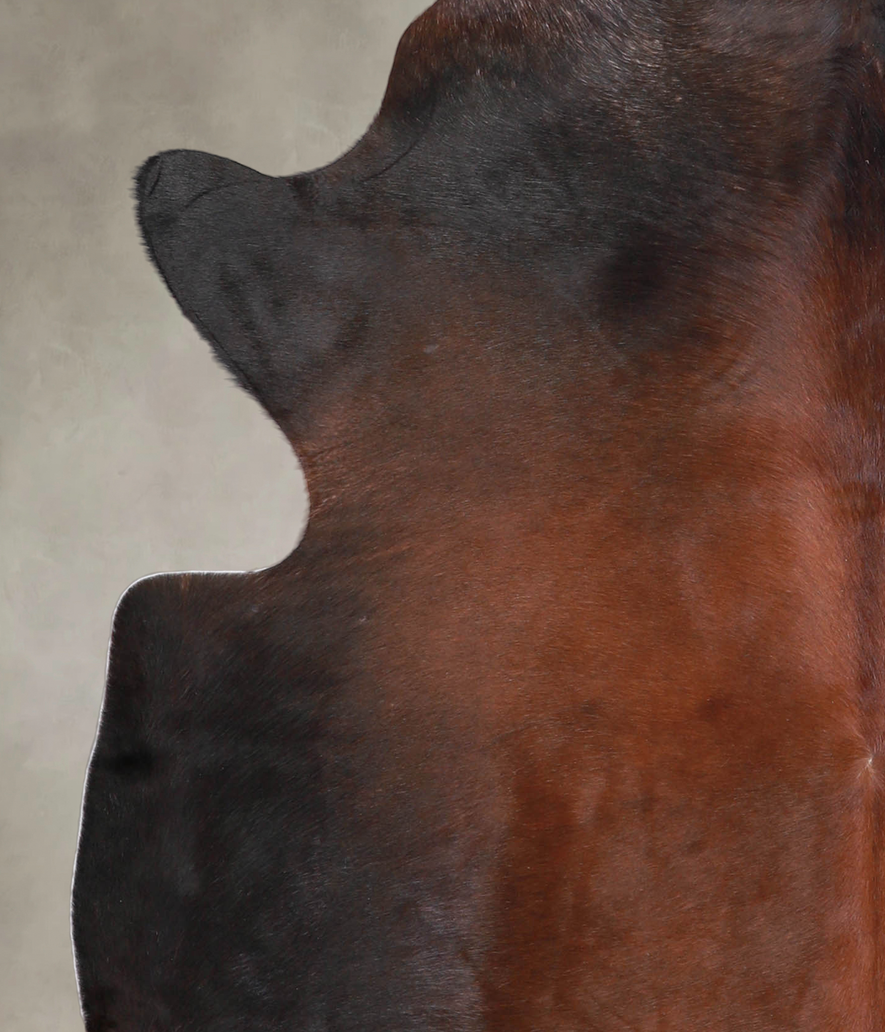 Brown with Red Cowhide Rug #A22161