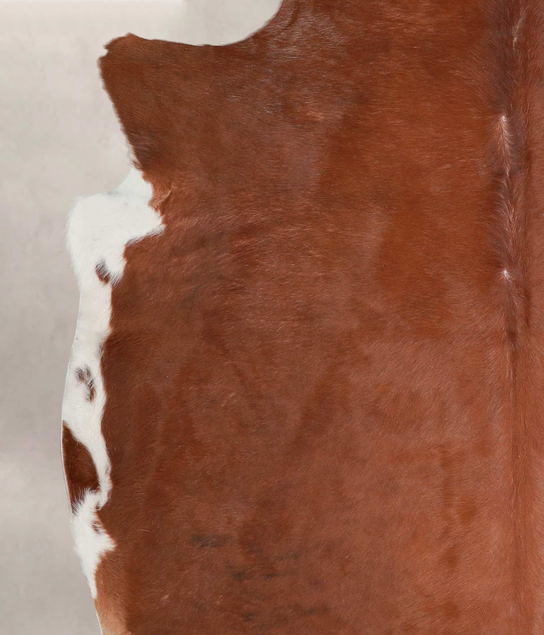 Solid Brown Cowhide Rug #A22162