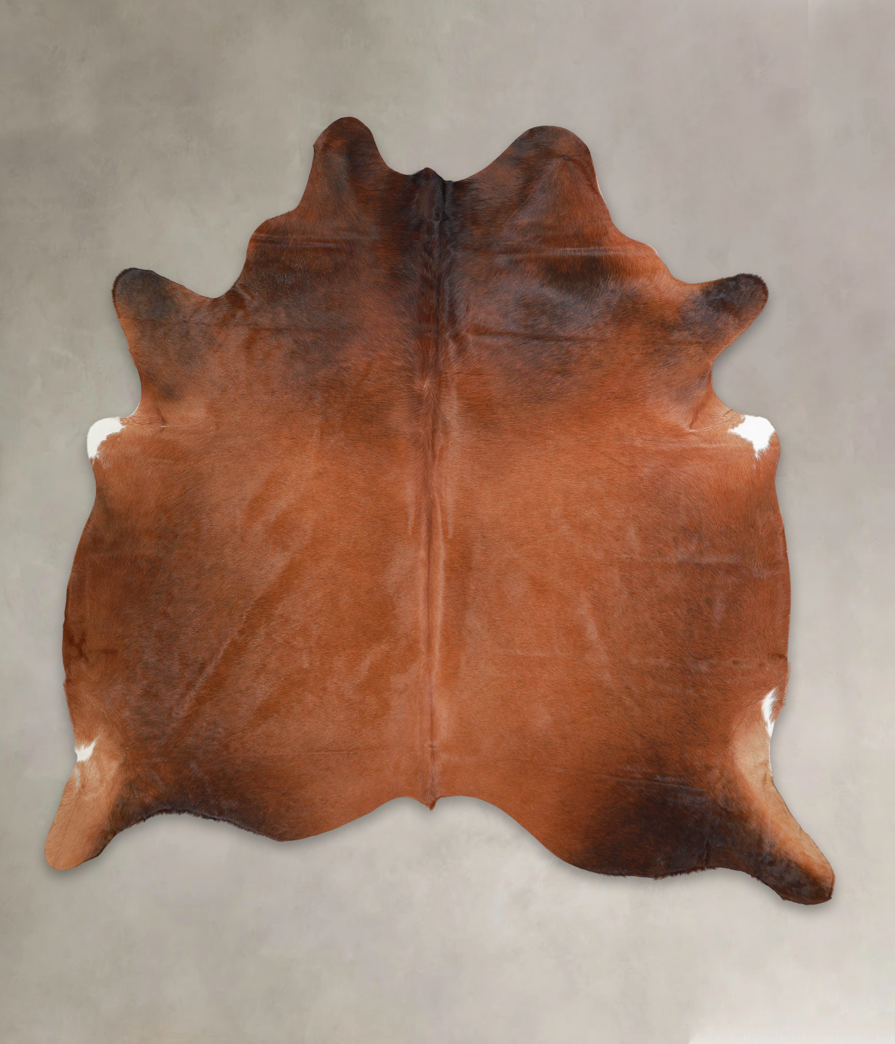 Brown with Red Cowhide Rug #A22169