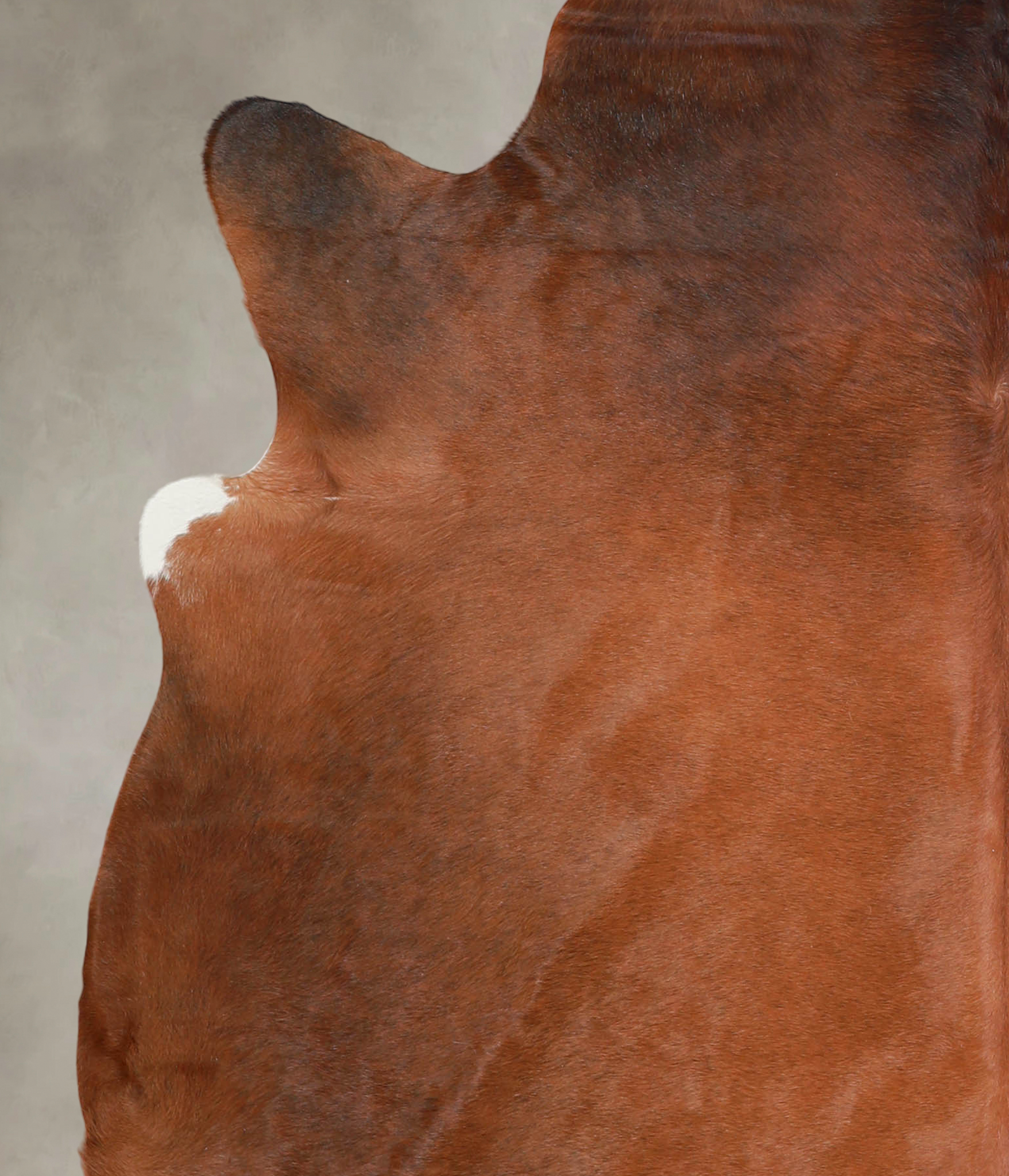 Brown with Red Cowhide Rug #A22169