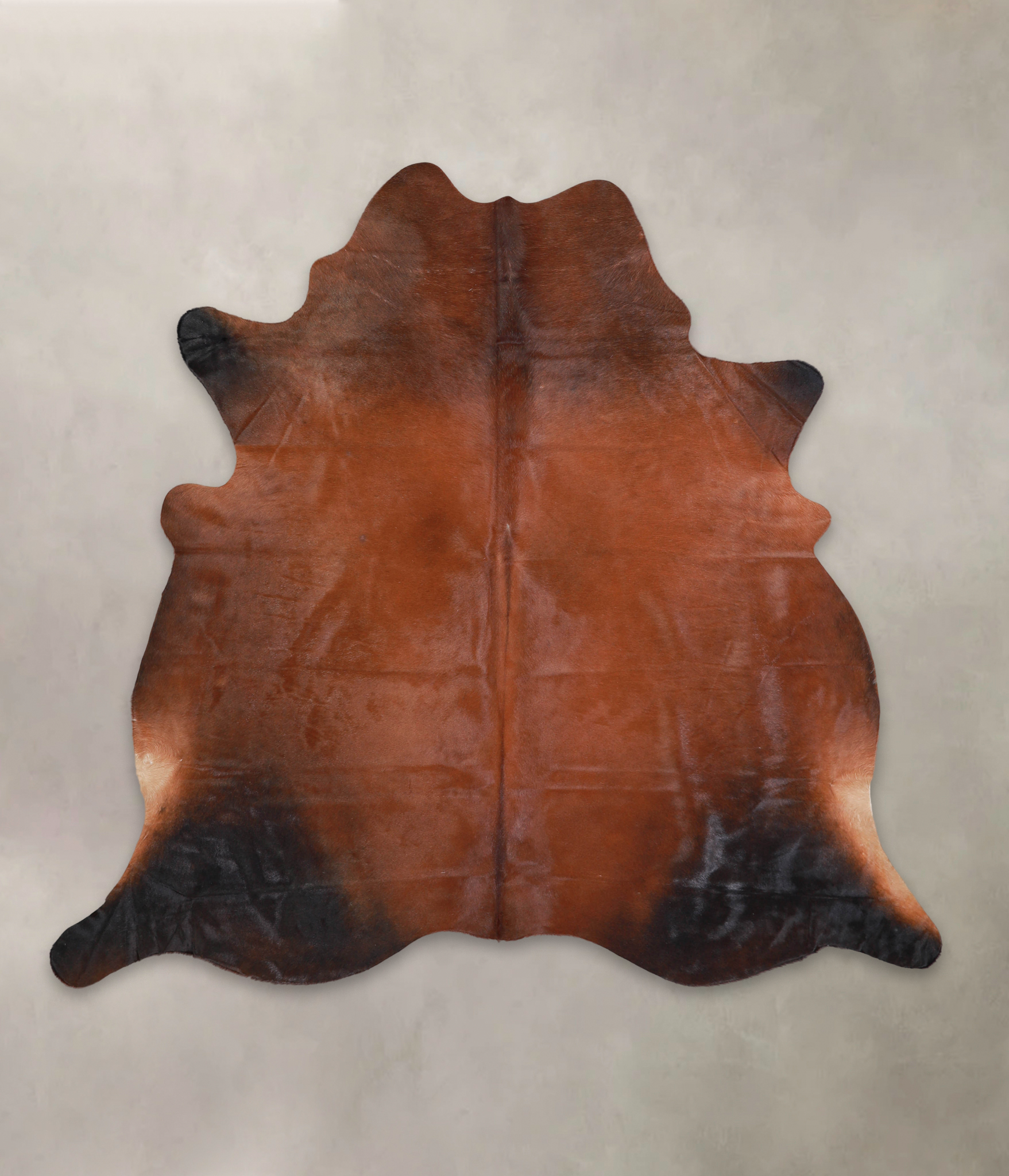 Brown with Red Cowhide Rug #A22170