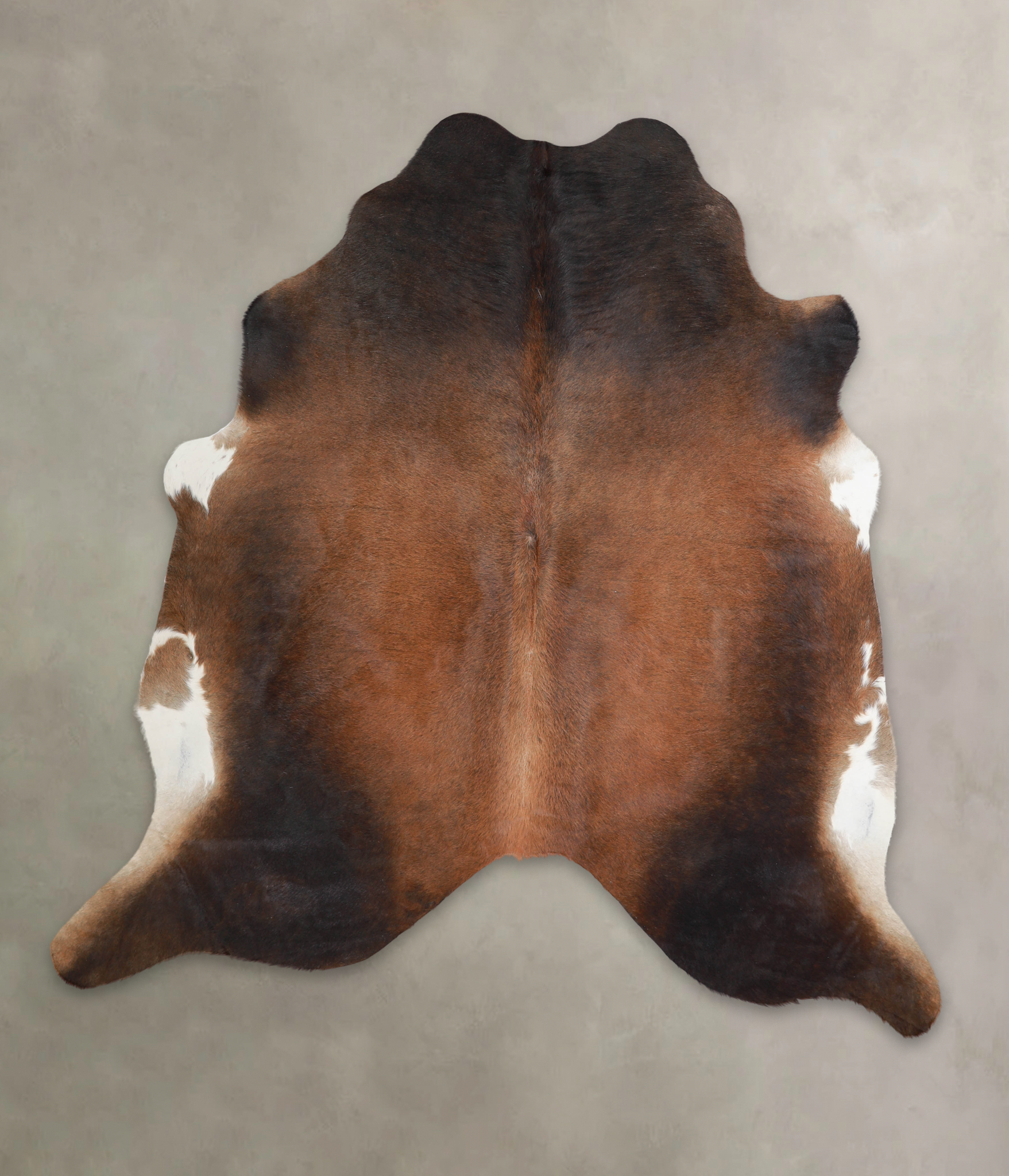 Brown with Red Cowhide Rug #A22192