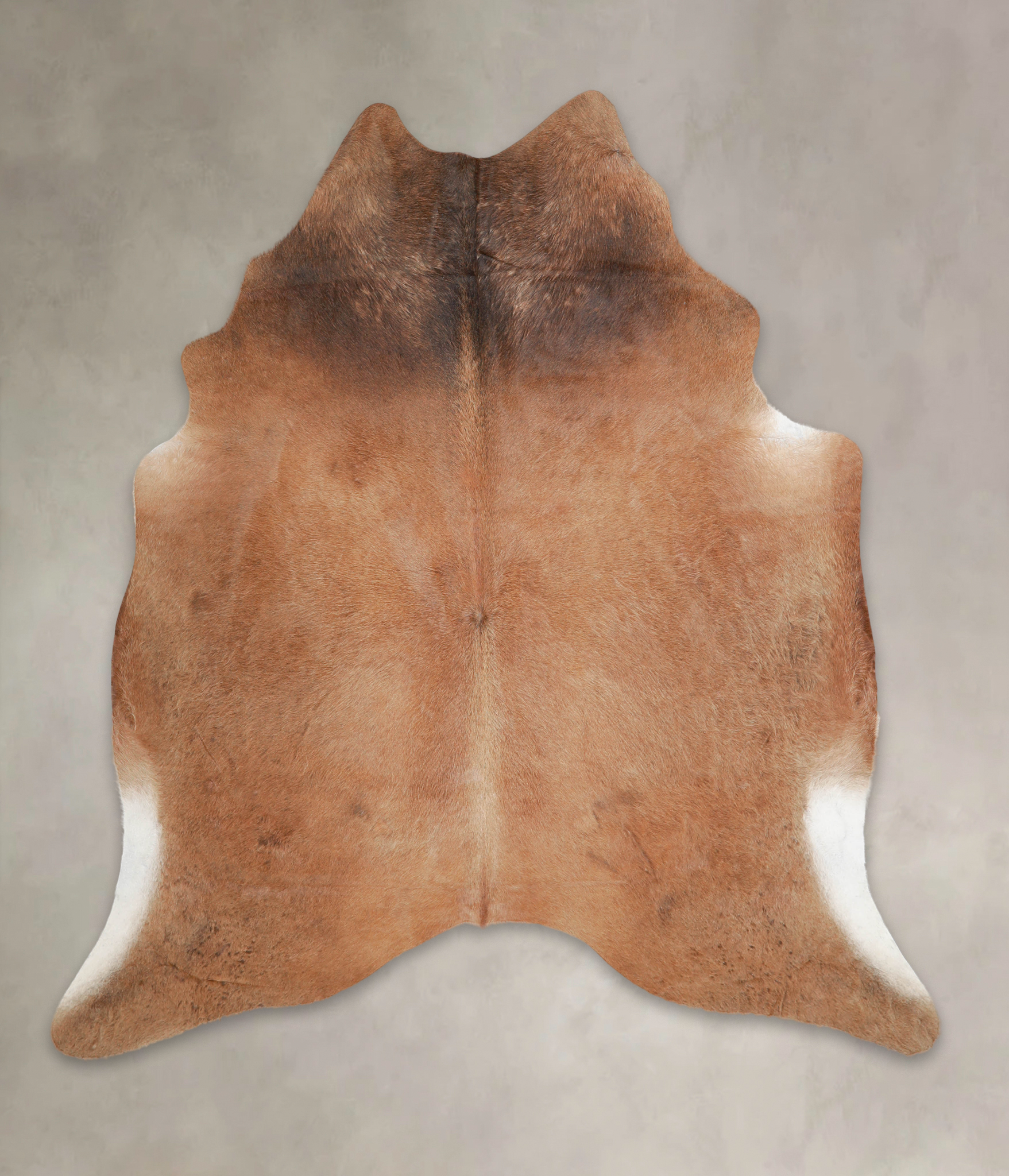 Brown with Red Cowhide Rug #A22197