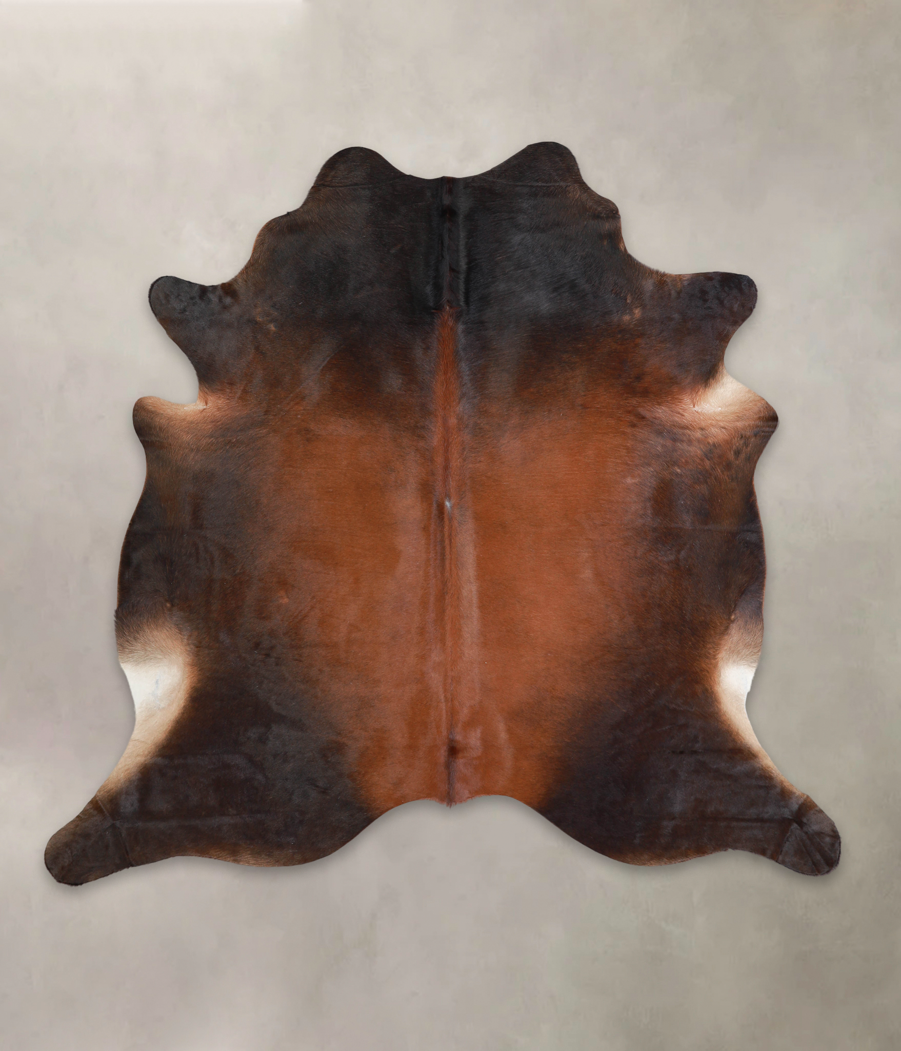 Brown with Red Cowhide Rug #A22212