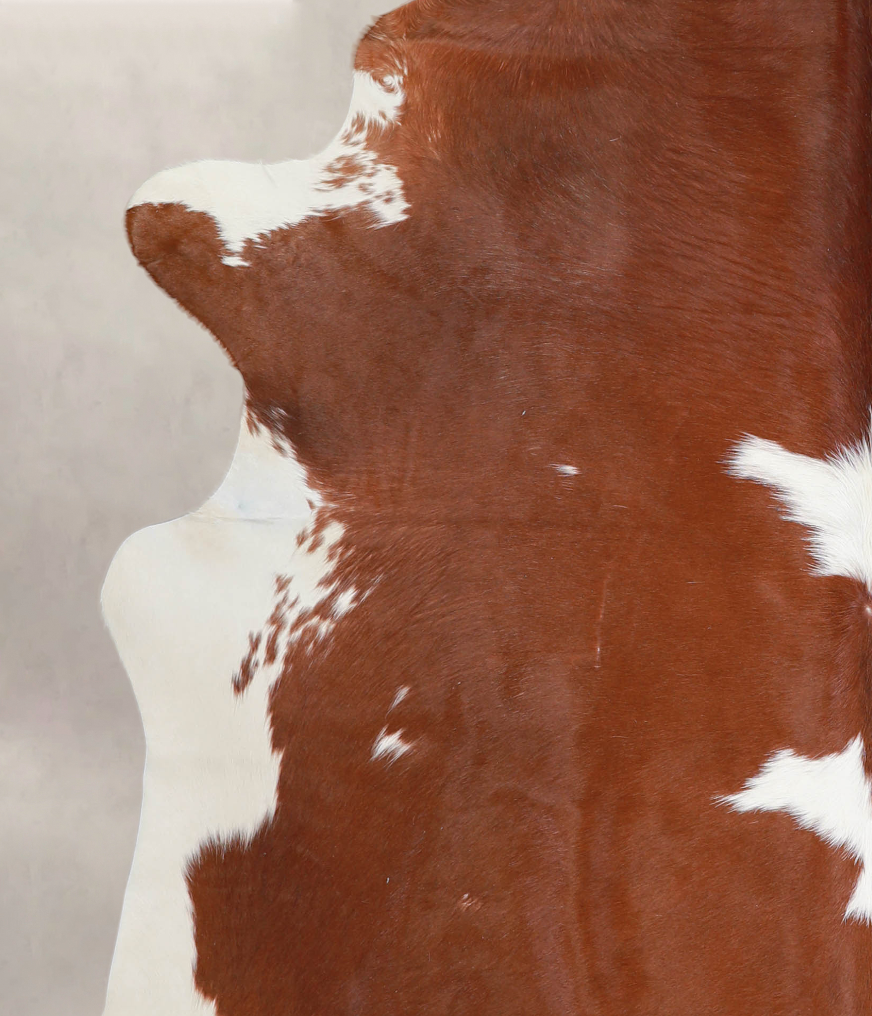 Brown and White Cowhide Rug #A22280