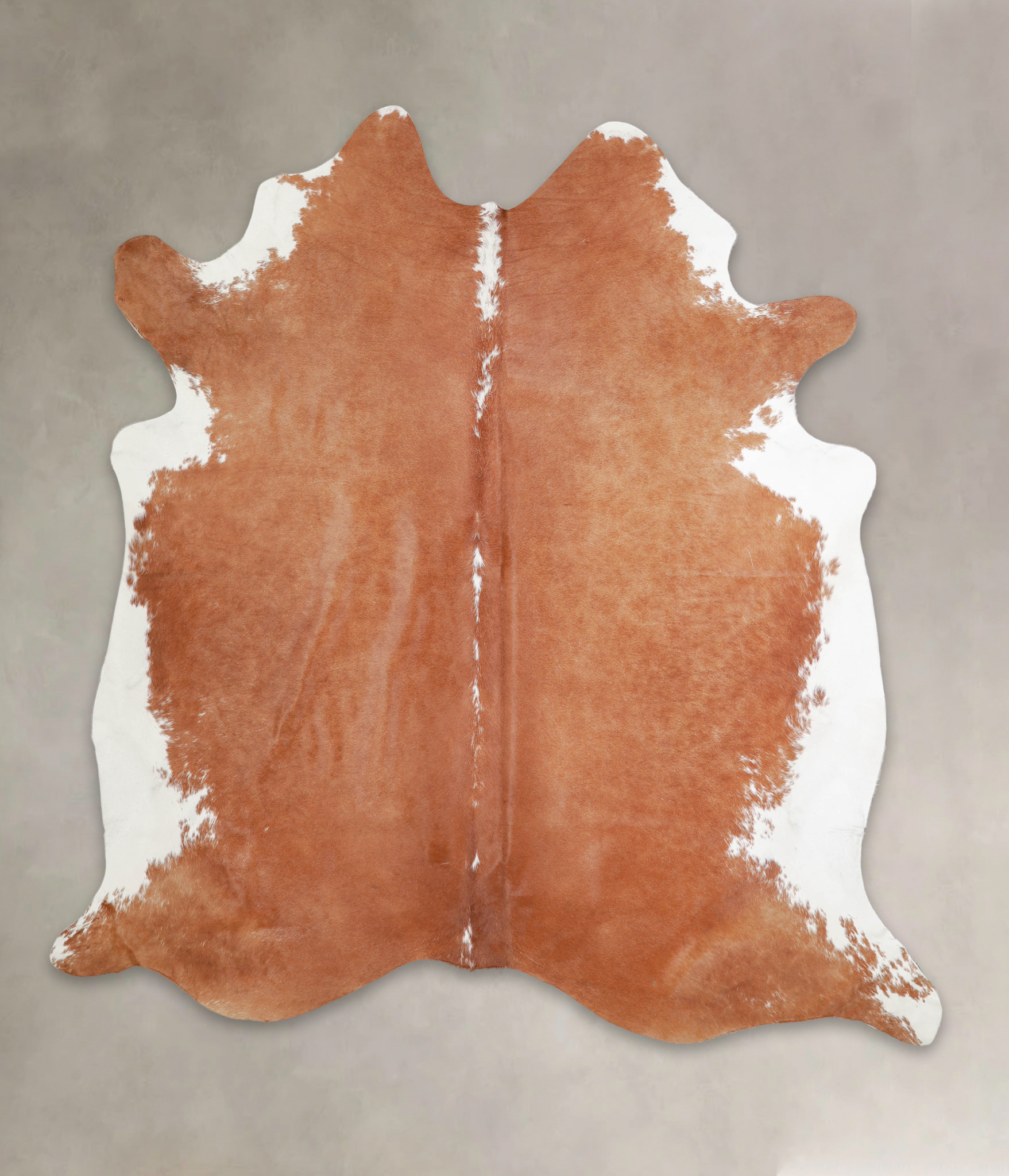 Brown and White Regular Cowhide Rug #A22285