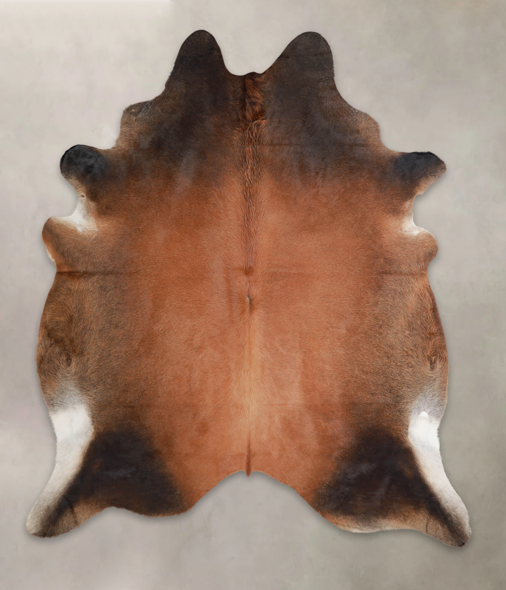 Brown with Red Cowhide Rug #A22396