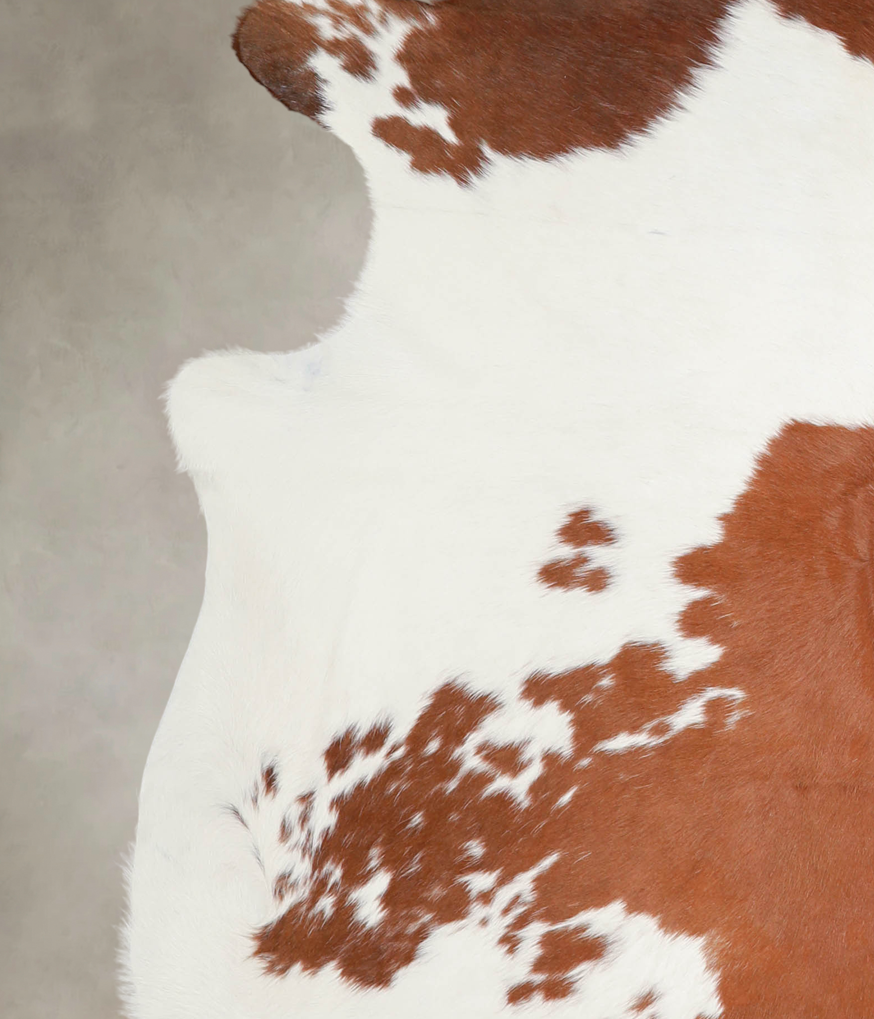 Brown and White Cowhide Rug #A22409