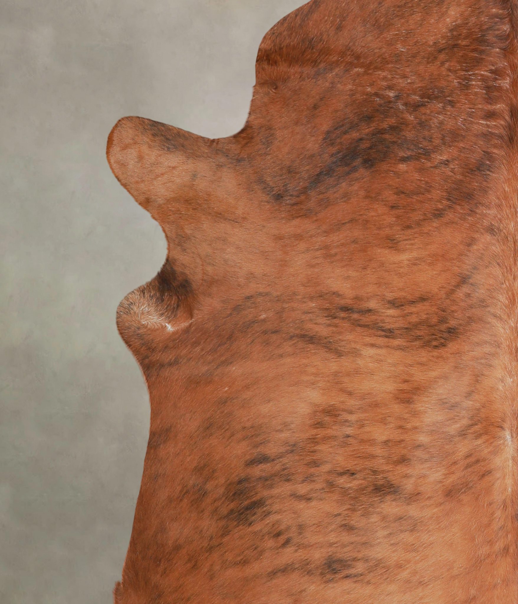 Medium Brindle Cowhide Rug #A22432