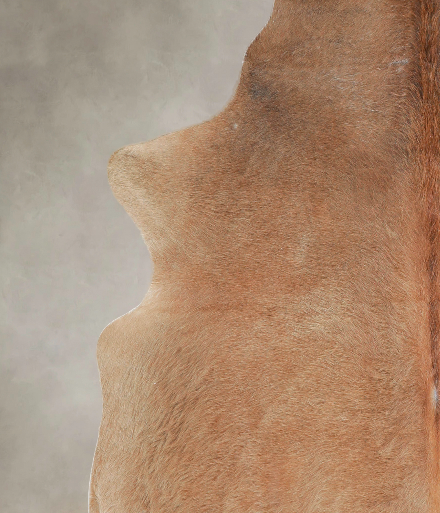 Caramel Cowhide Rug #A22441