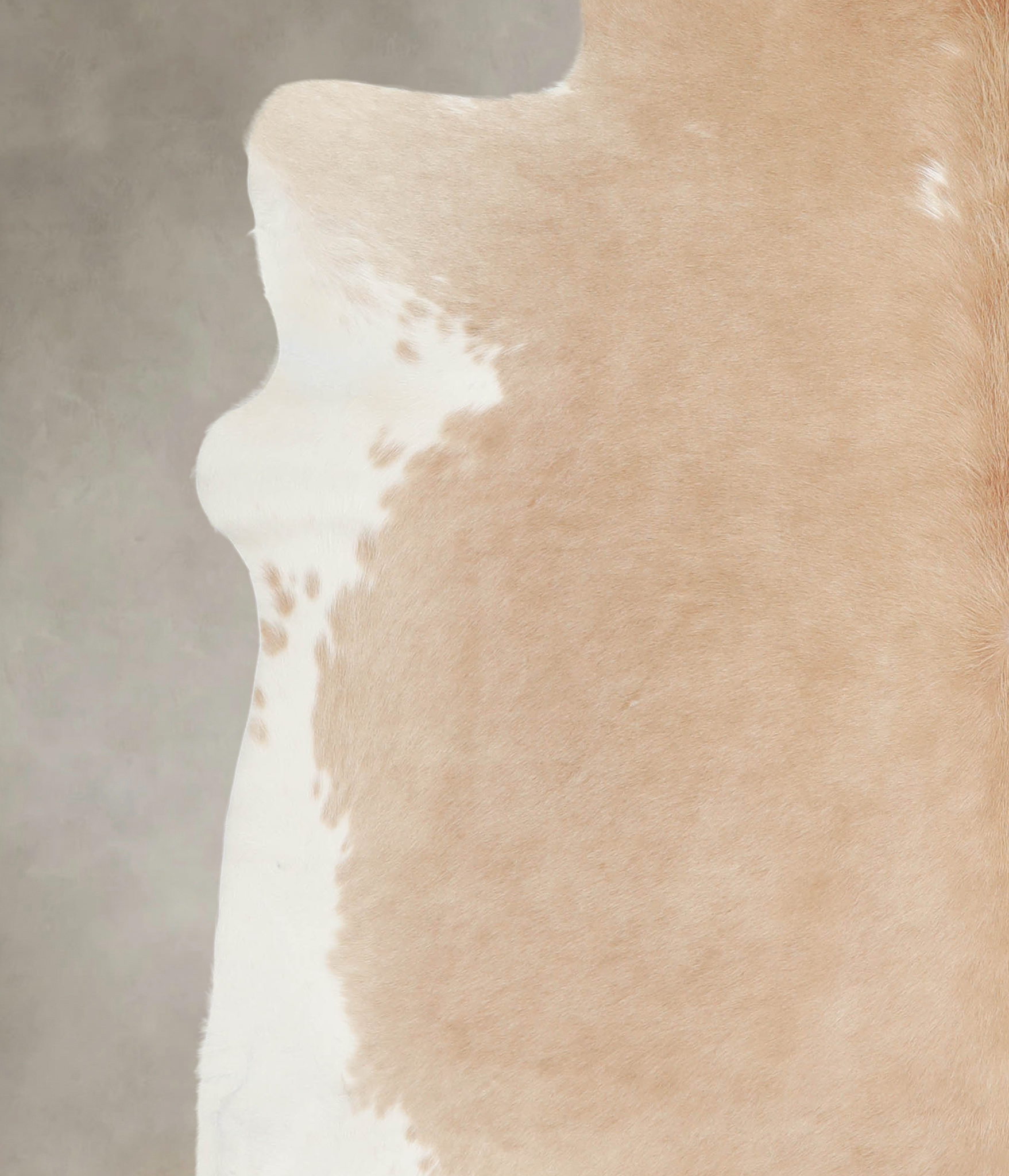 Beige and White Cowhide Rug #A22453