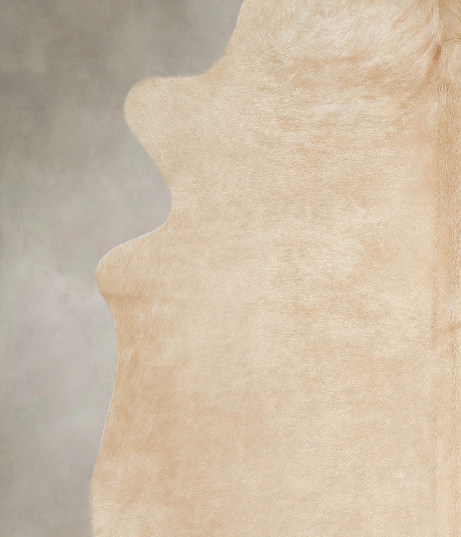 Palomino Cowhide Rug #A22483