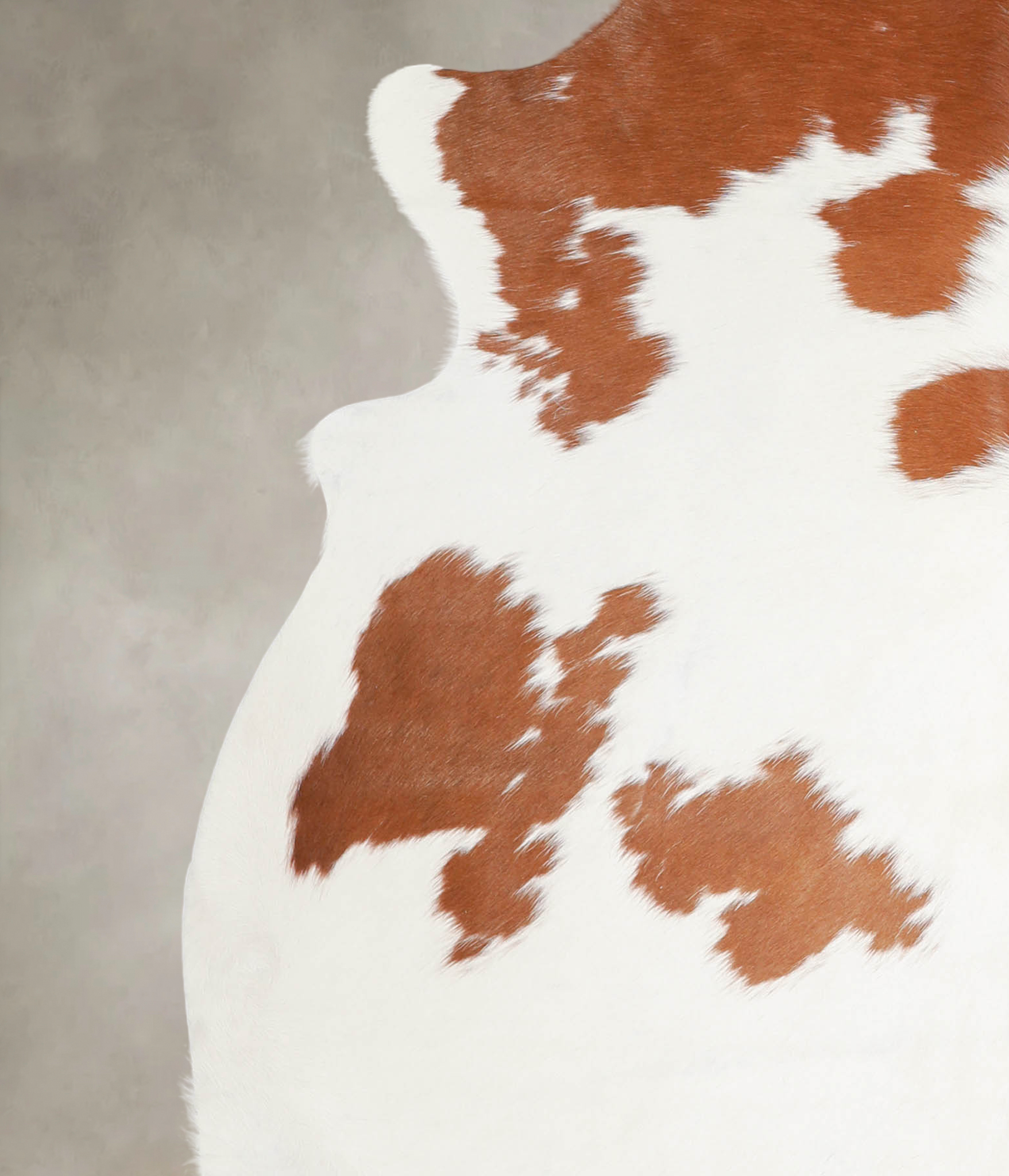 Brown and White Cowhide Rug #A22570