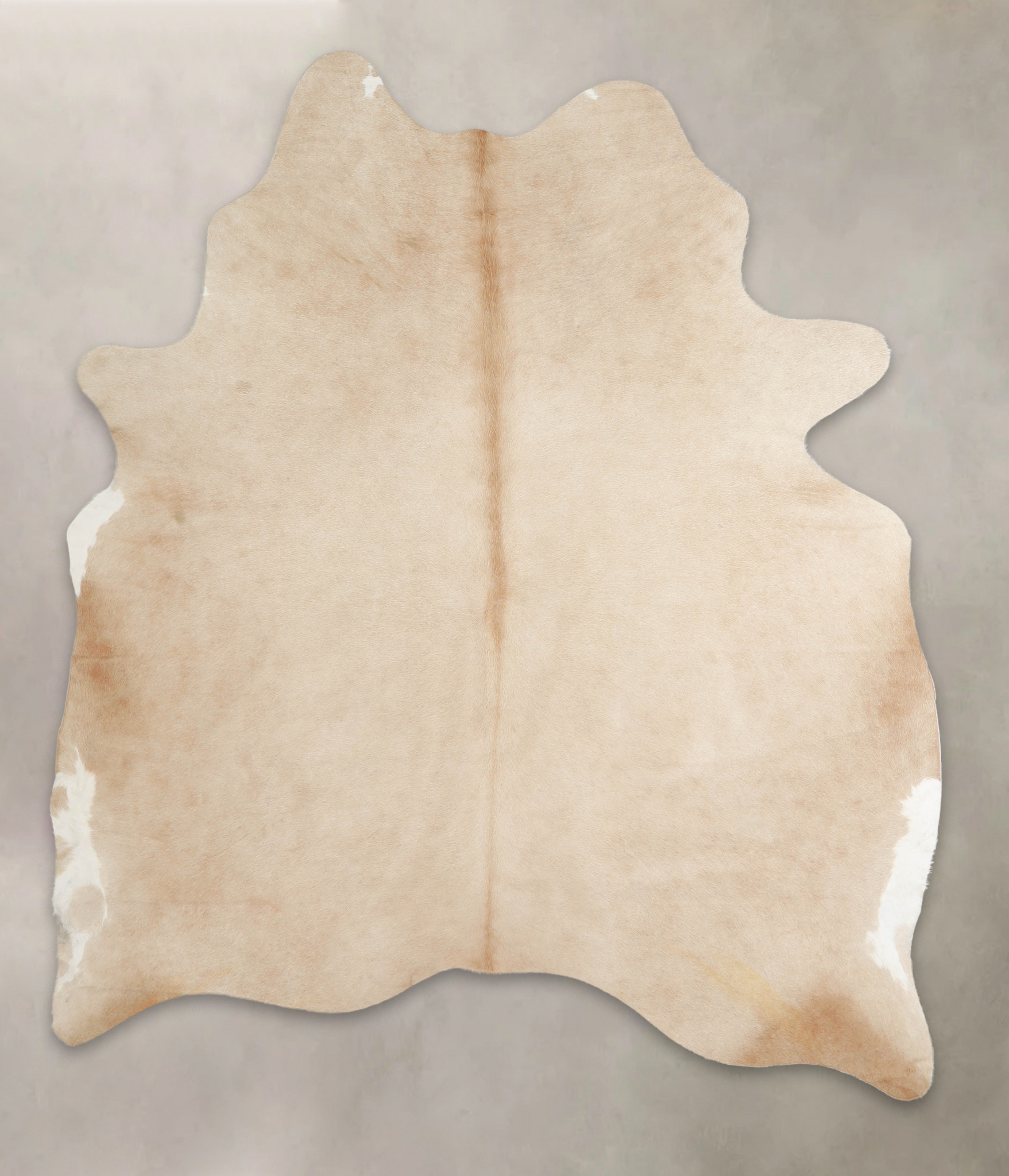 Palomino Cowhide Rug #A22832