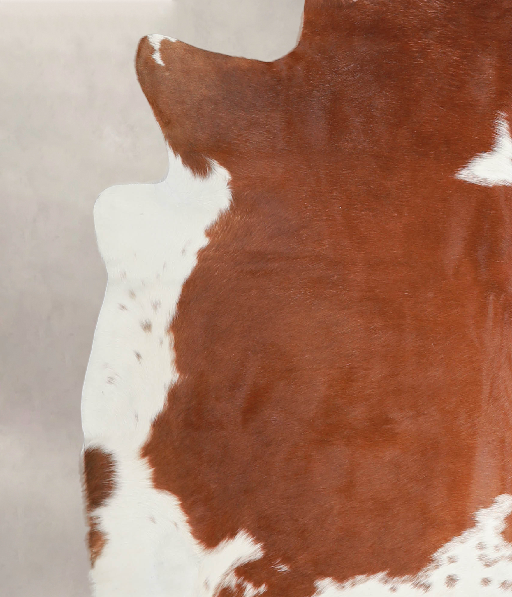 Brown and White Cowhide Rug #A22947