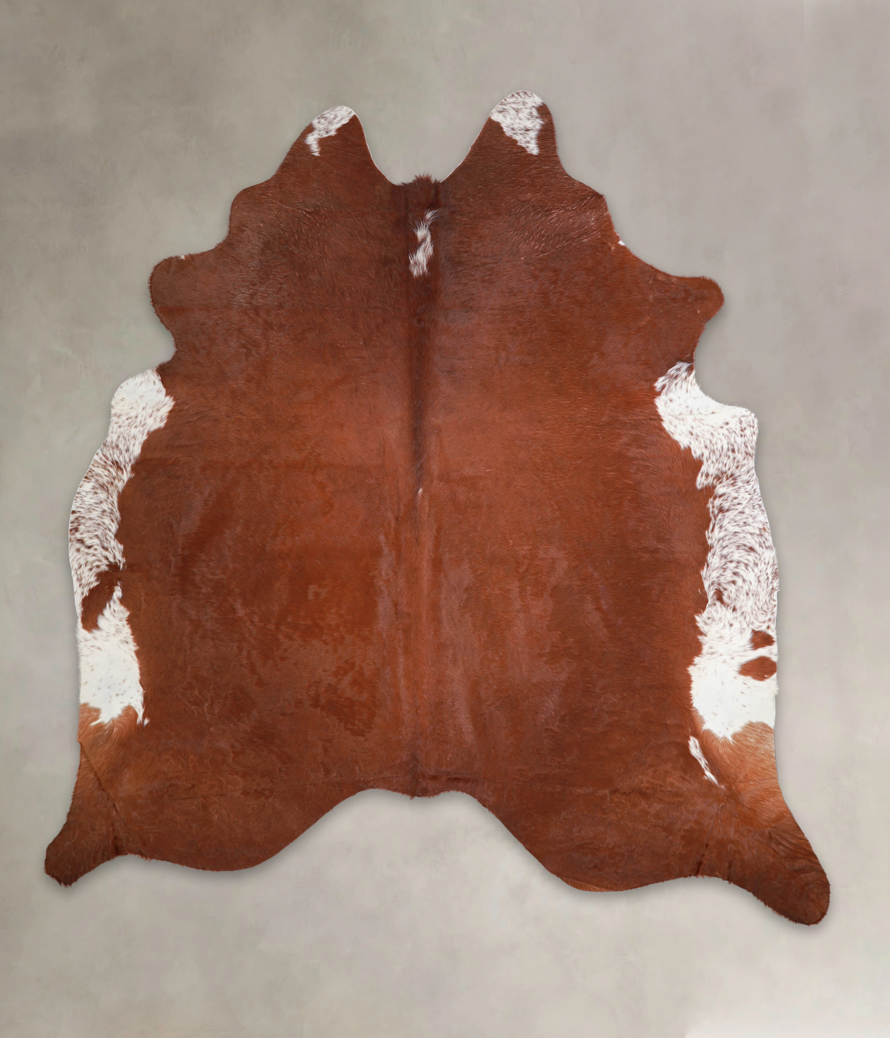 Brown and White Regular Cowhide Rug #A22980