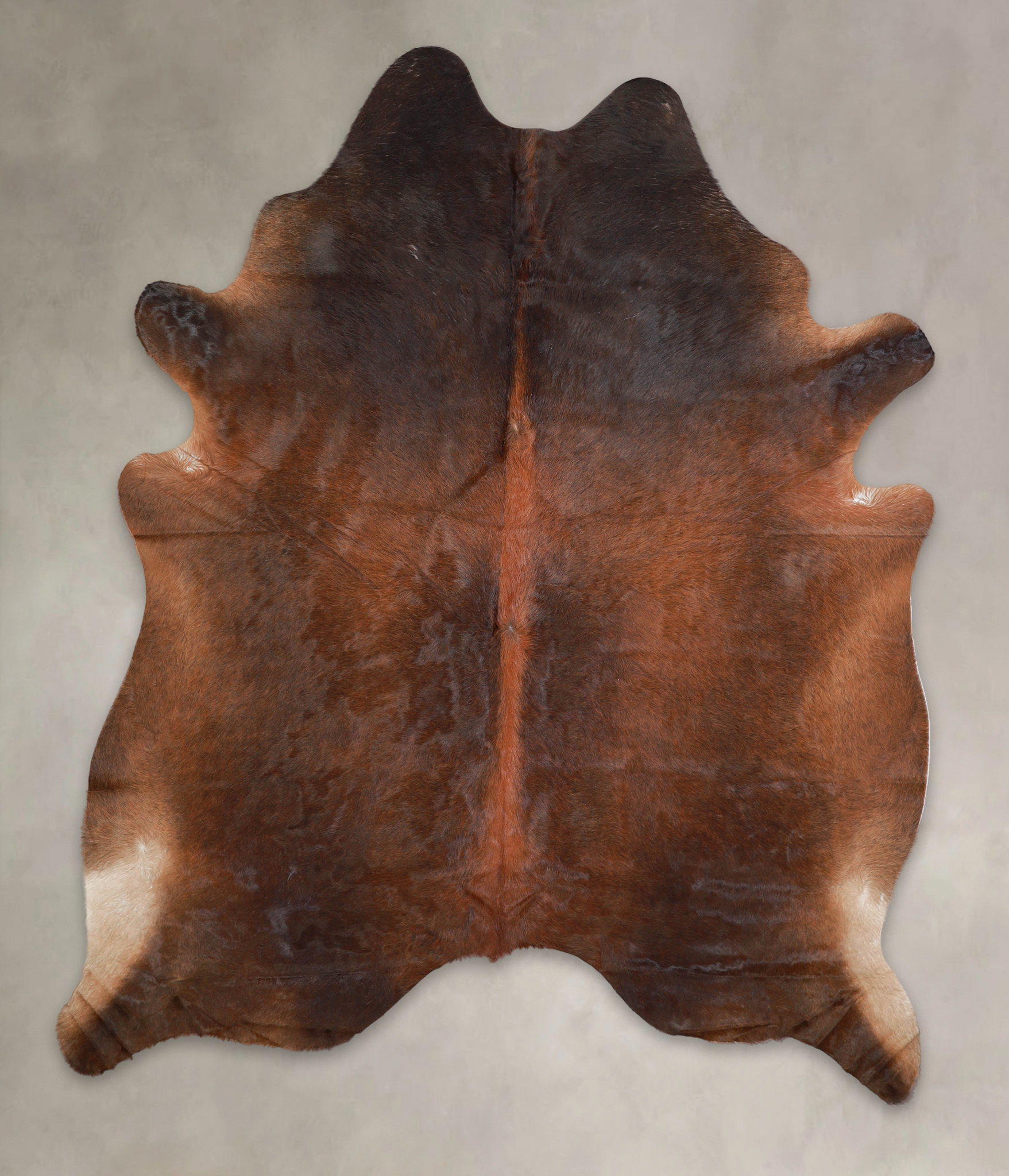 Brown with Red Cowhide Rug #A23031