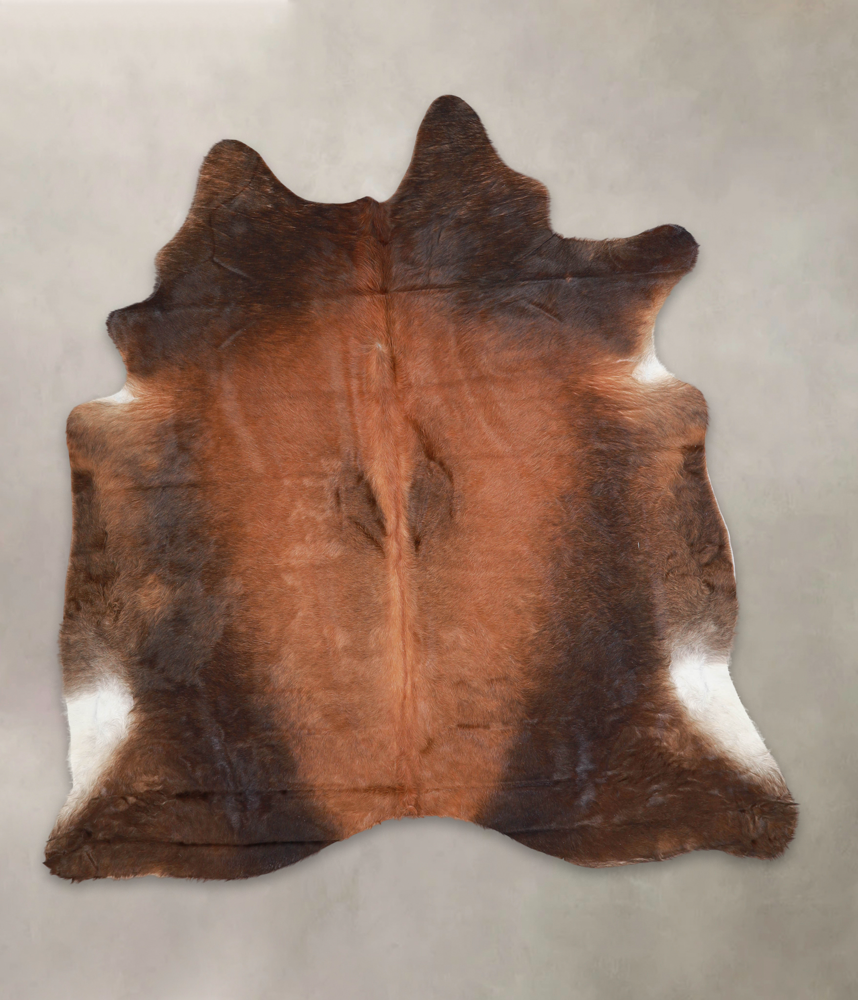 Brown with Red Cowhide Rug #A23054