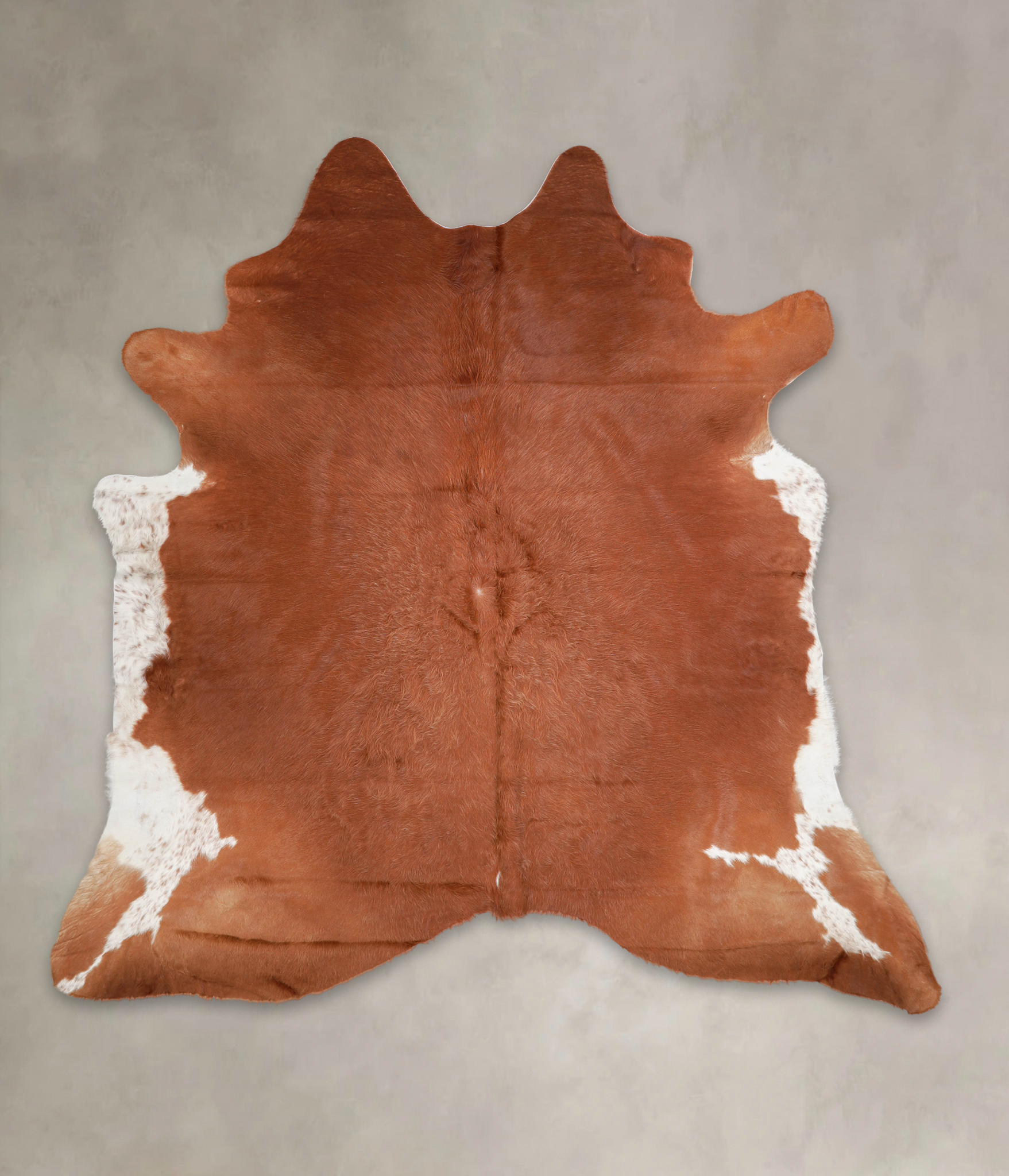 Brown and White Regular Cowhide Rug #A23055