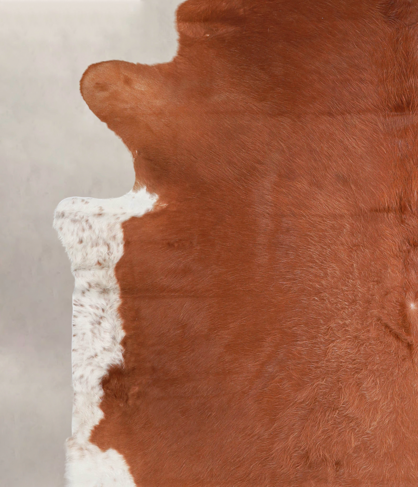 Brown and White Regular Cowhide Rug #A23055