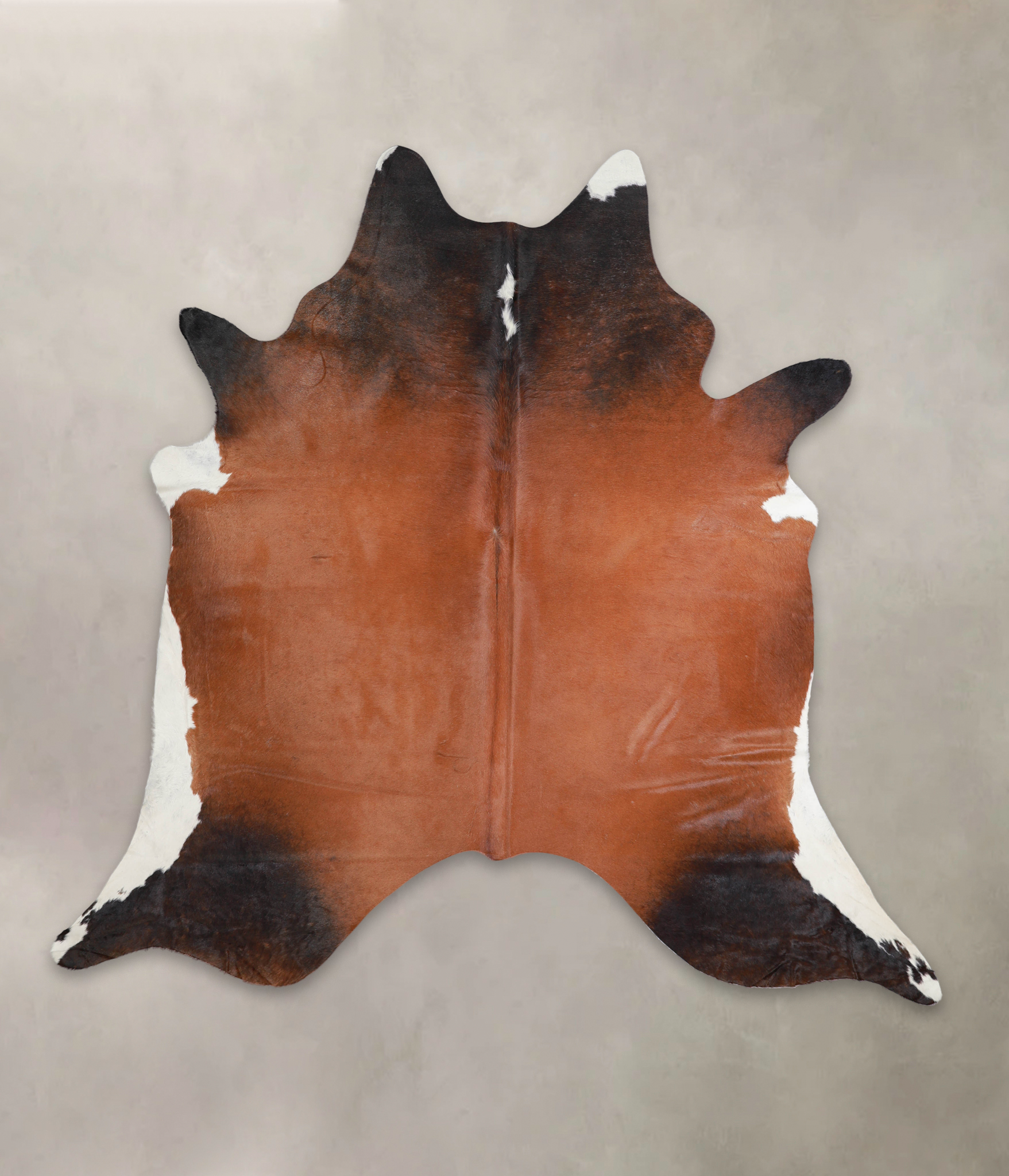 Brown with Red Cowhide Rug #A23370