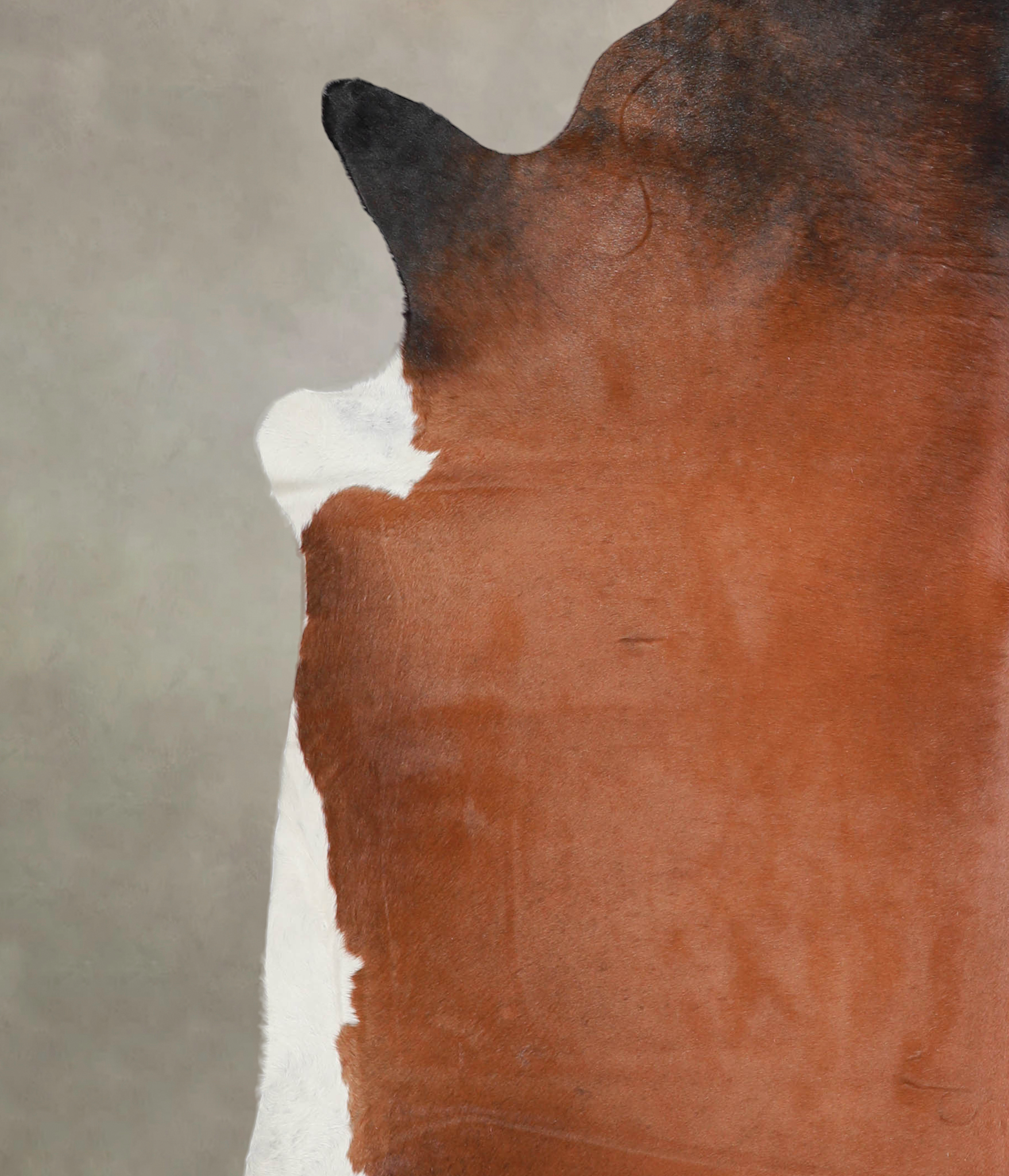 Brown with Red Cowhide Rug #A23370