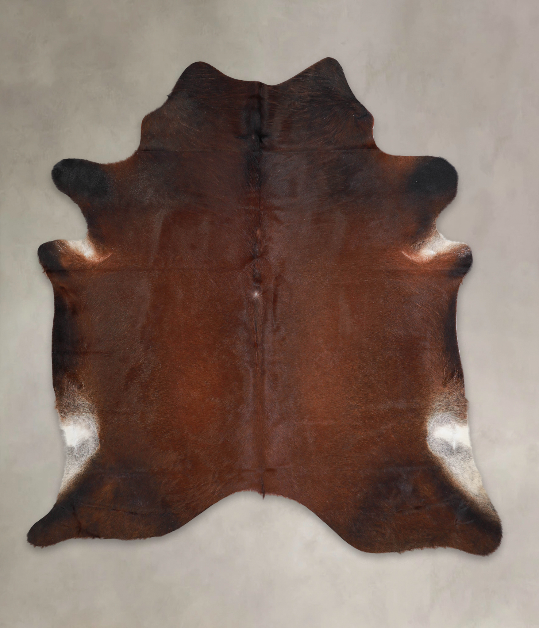 Brown with Red Cowhide Rug #A23377